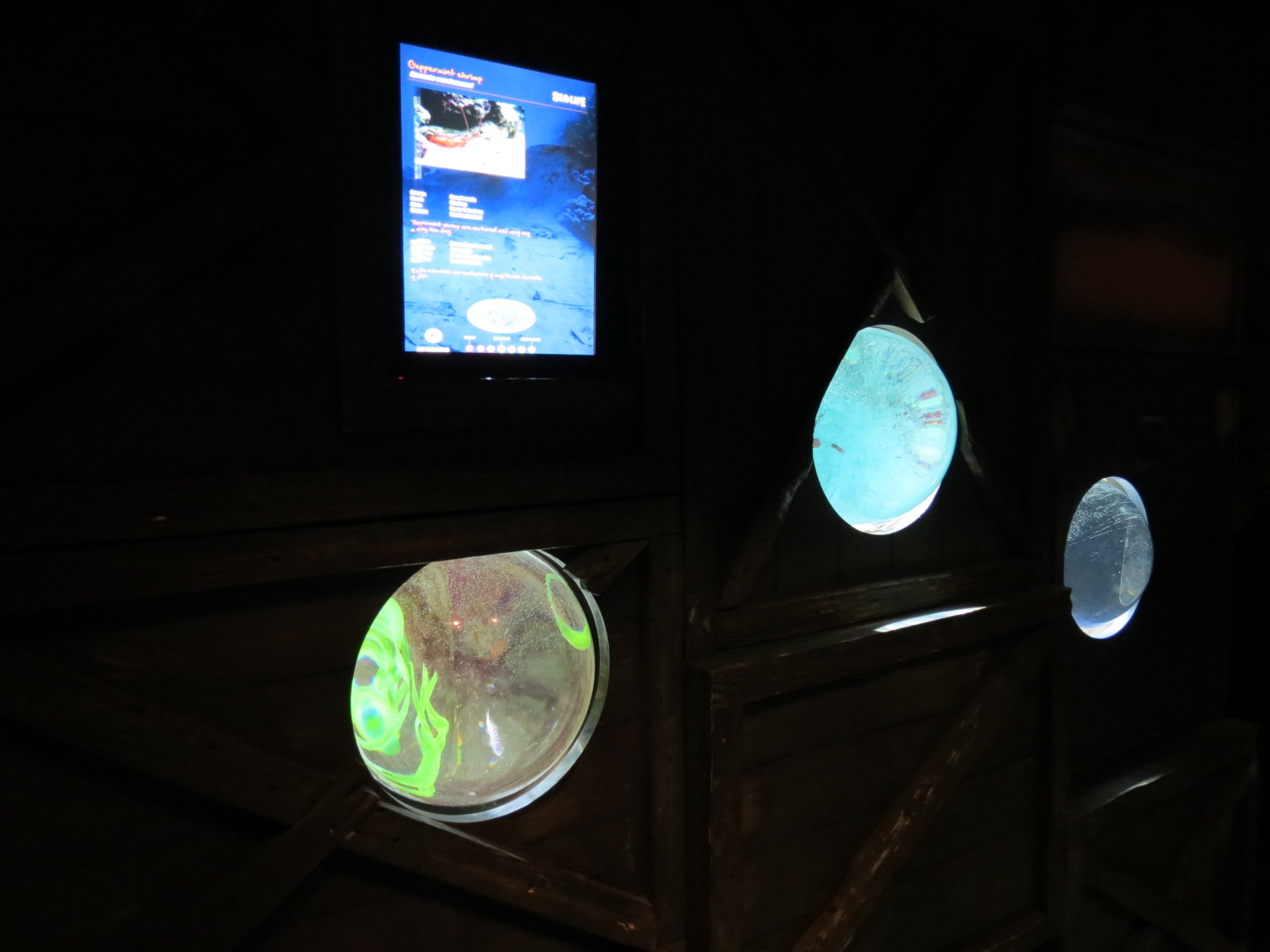 Harbor - Three Small Tanks