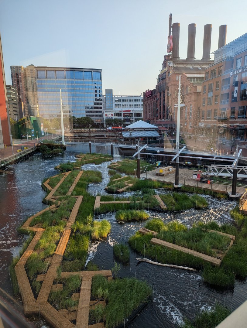 Harbor Wetlands Construction - July 2024