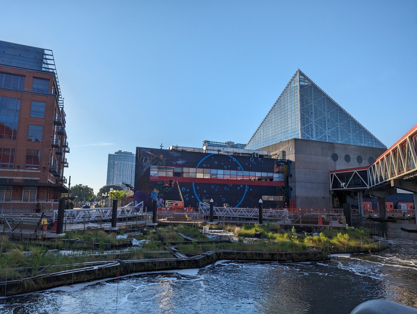 Harbor Wetlands Construction - June 2024
