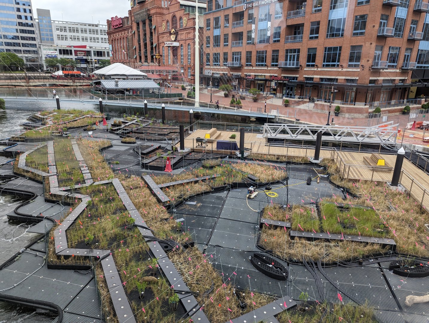 Harbor Wetlands Construction May 2024