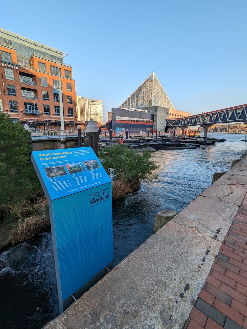 Harbor Wetlands Construction