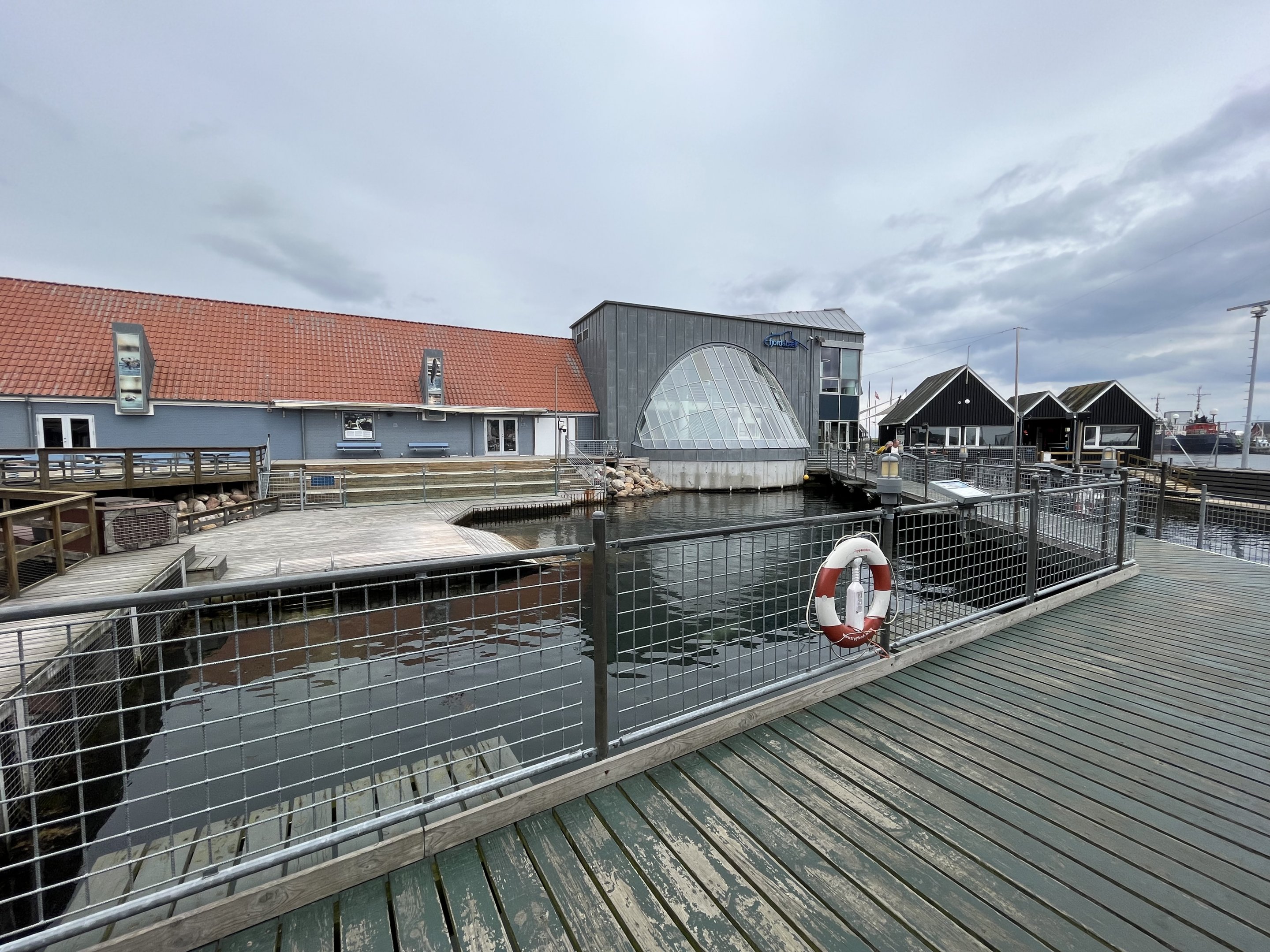 Harbour + Grey Seal Exhibit