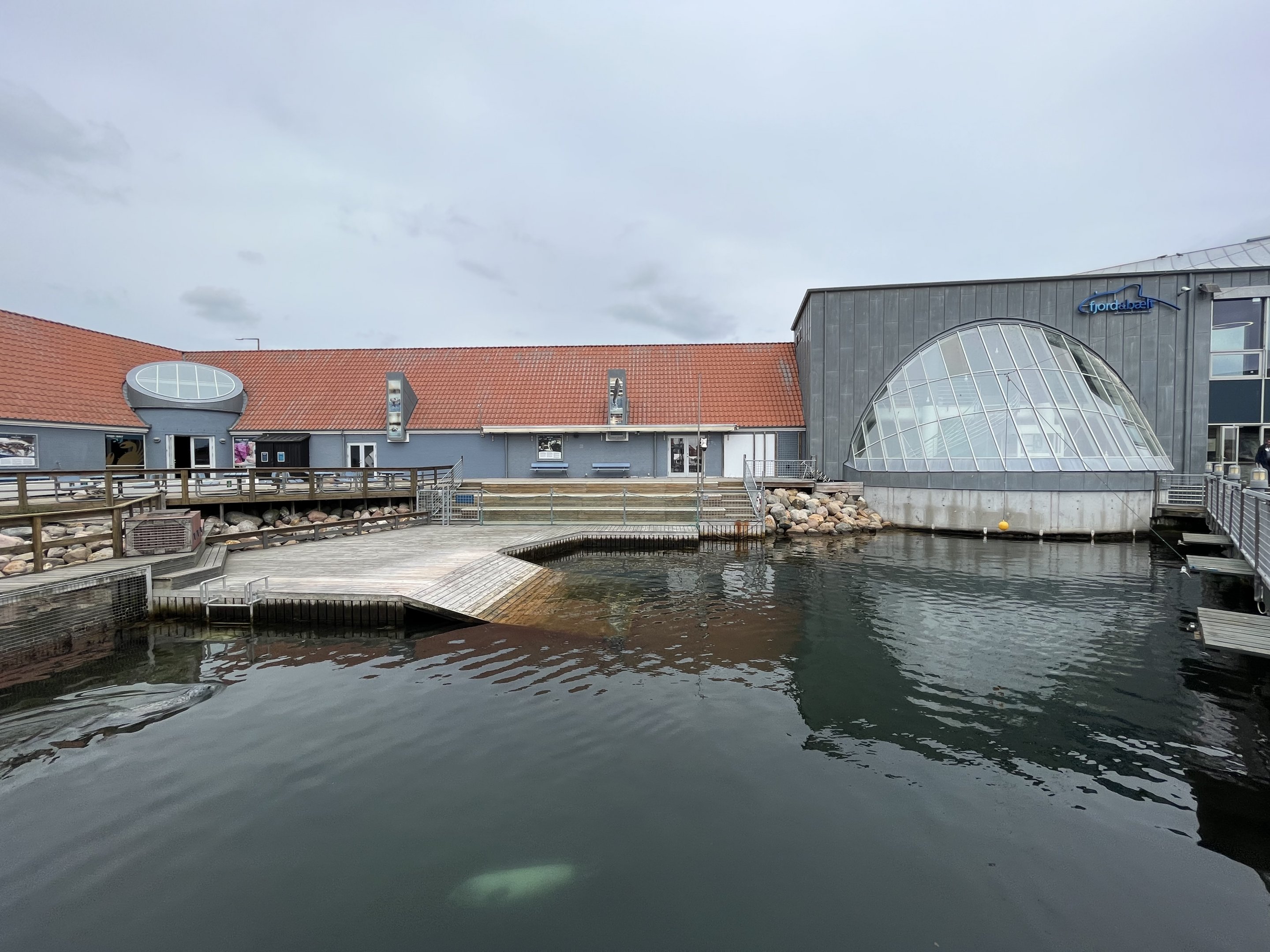 Harbour + Grey Seal Exhibit
