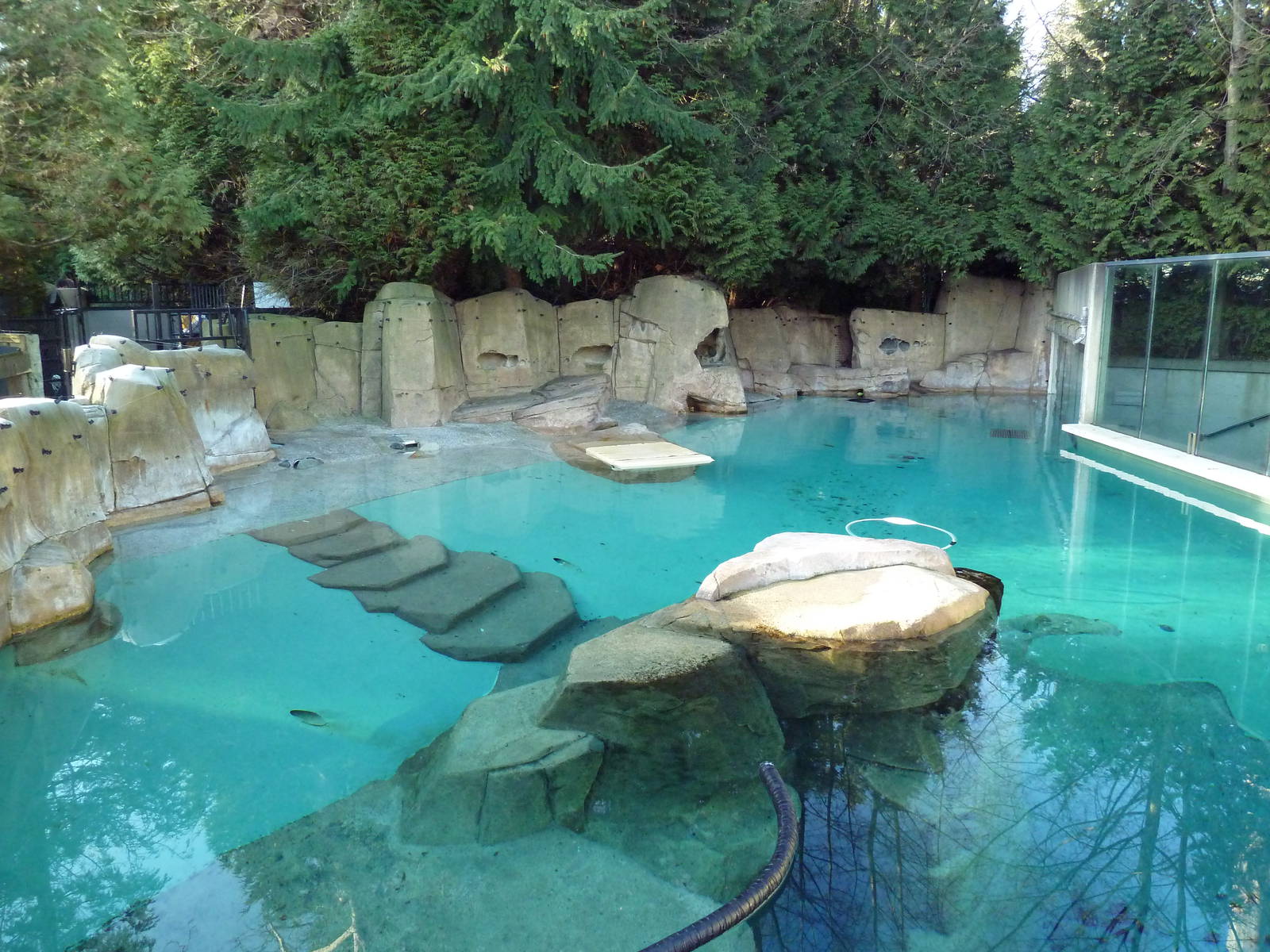 Harbour Porpoise Exhibit