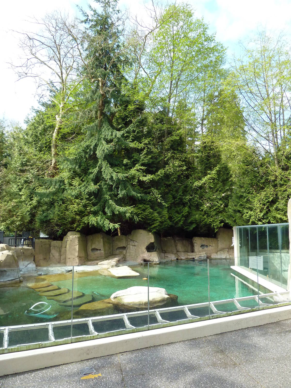 Harbour Porpoise Exhibit