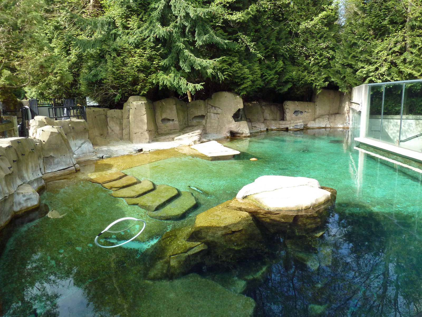 Harbour Porpoise Exhibit