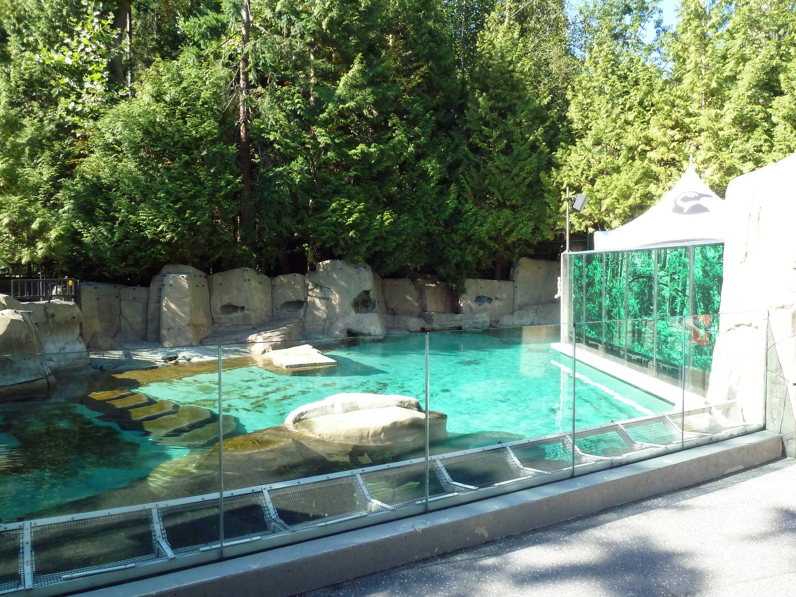 Harbour Porpoise Exhibit