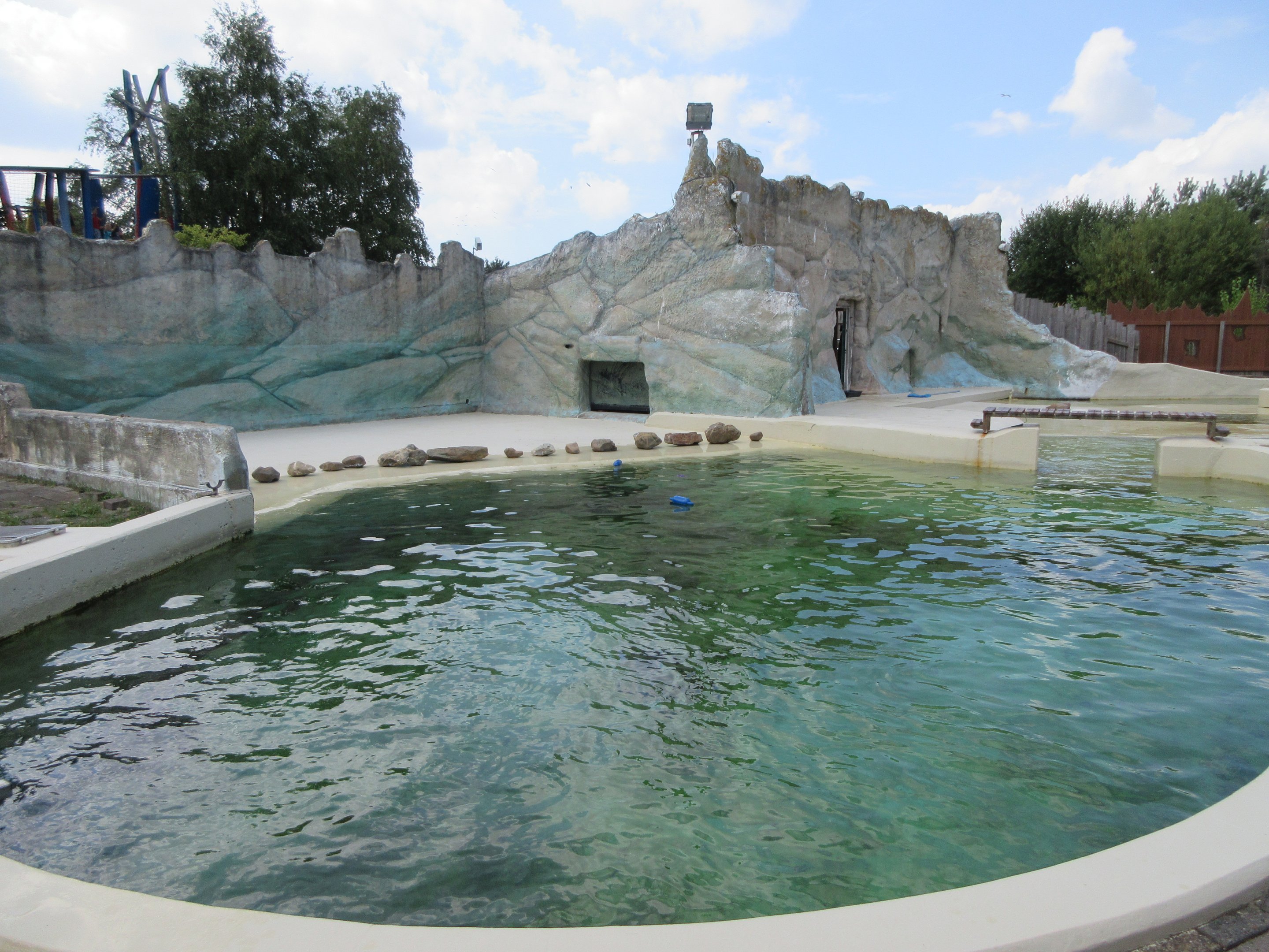 Harbour Porpoise Exhibit
