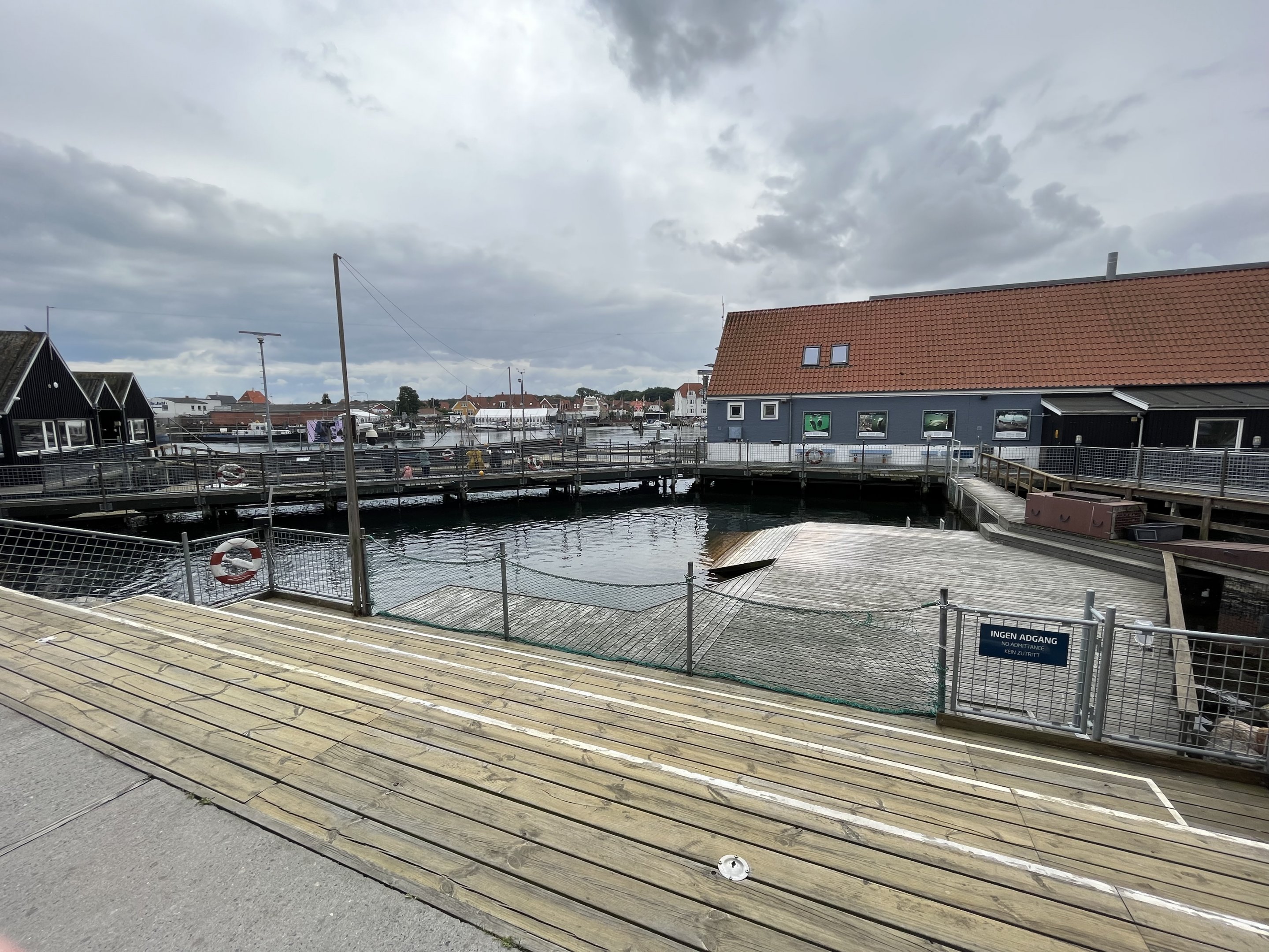 Harbour Porpoise Exhibit