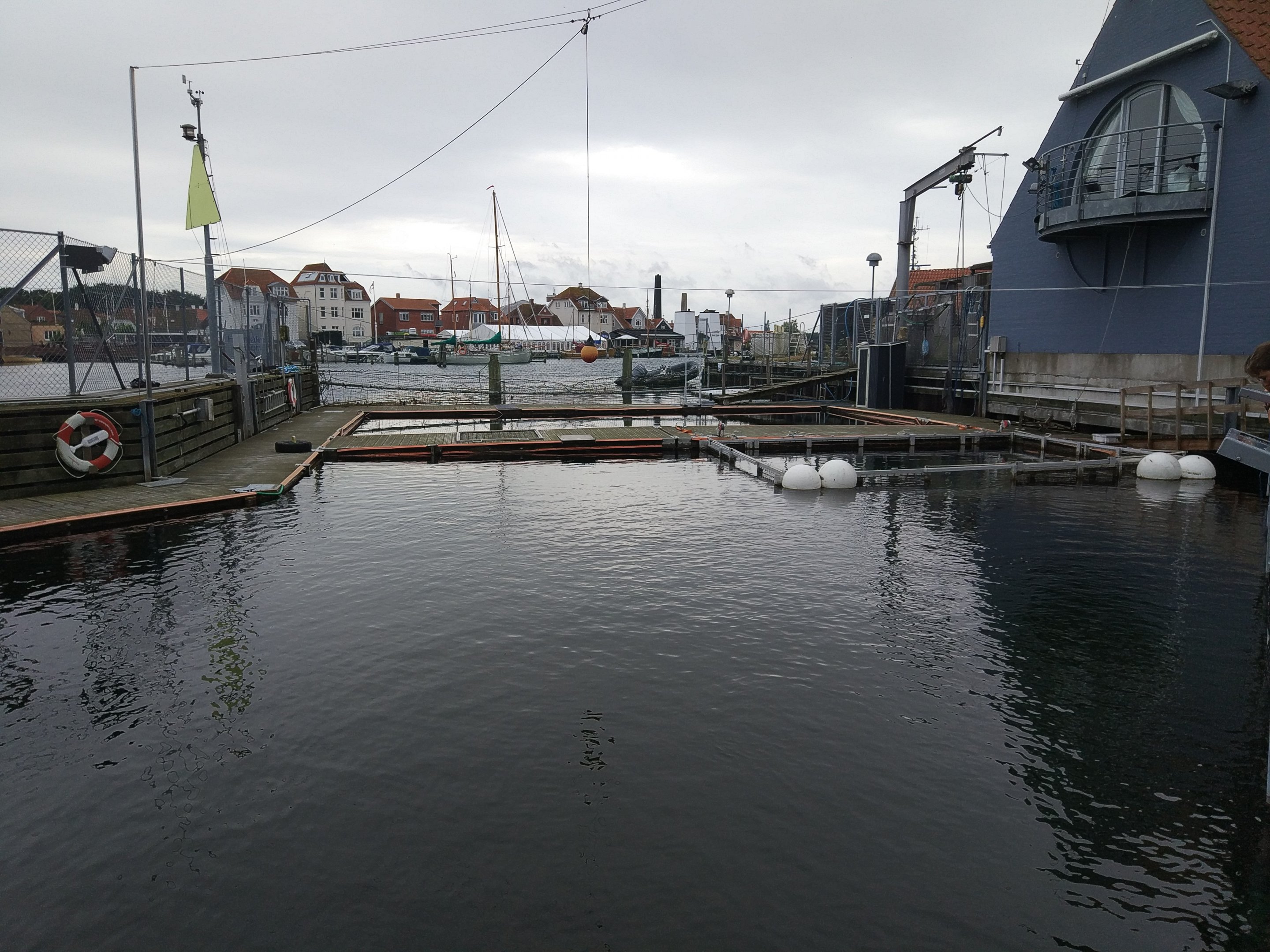 Harbour Porpoise Pen