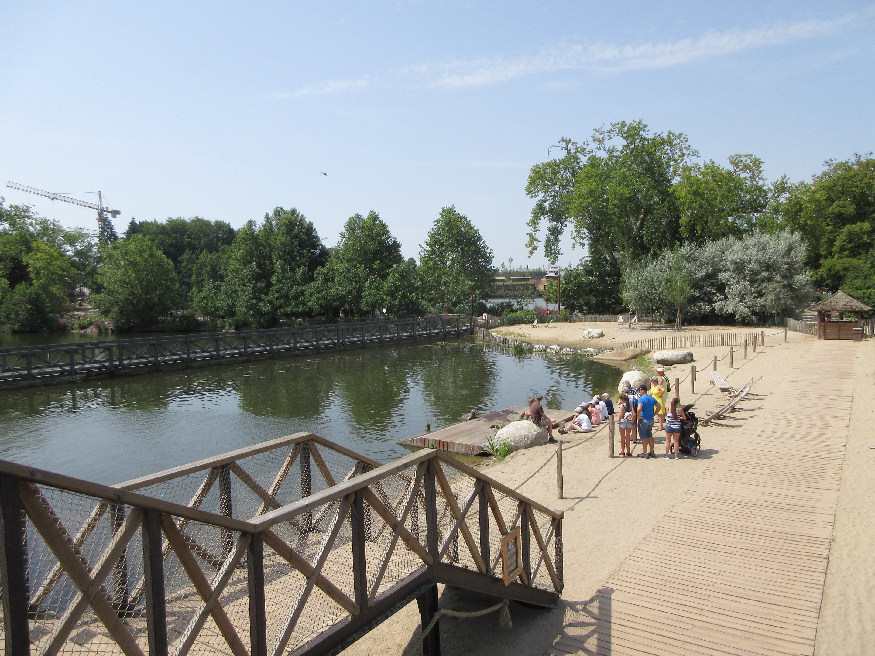 Harbour Seal/African Penguin Walk-through Exhibit