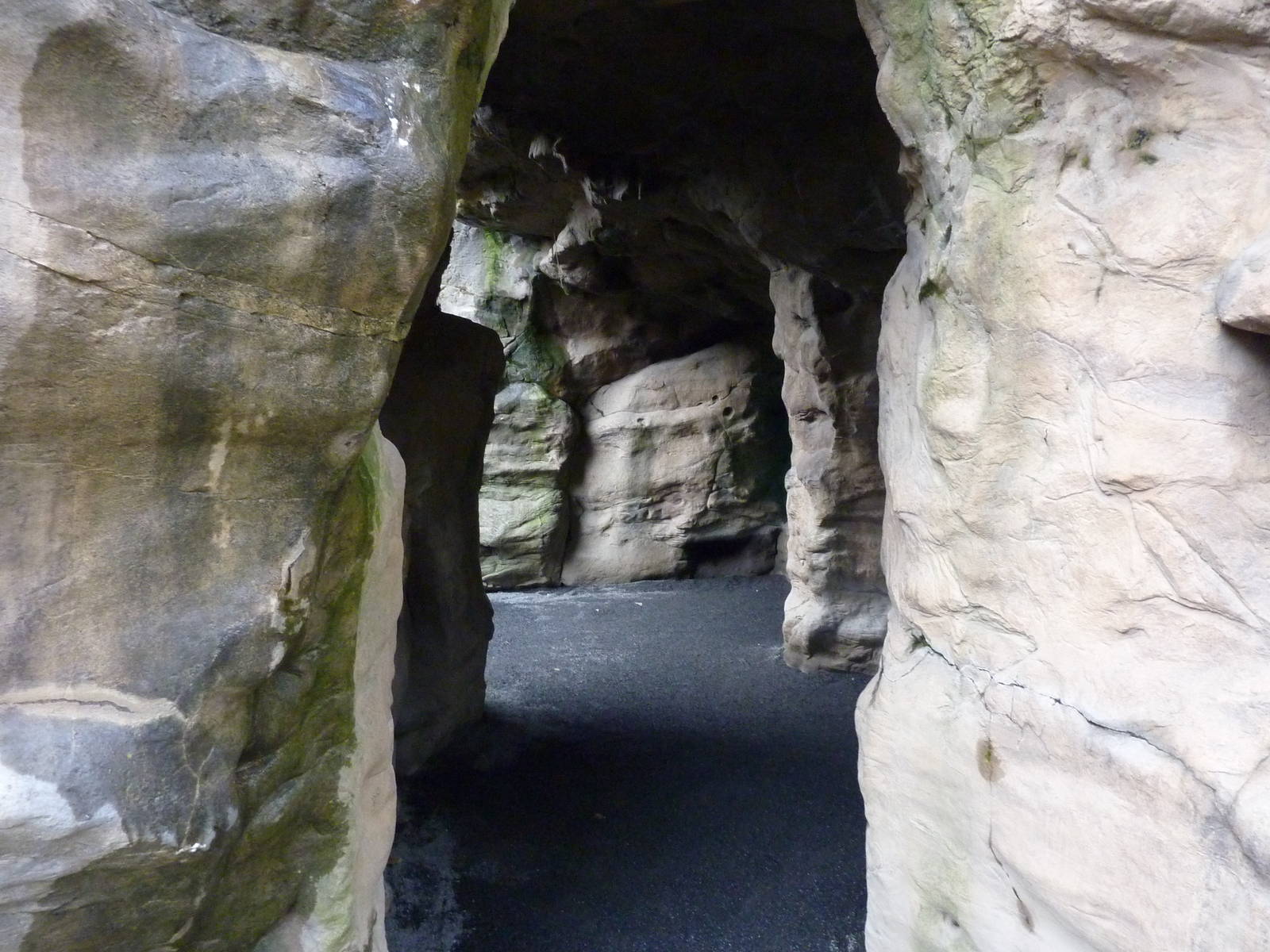 Harbour Seal/California Sea Lion Exhibit - Cave