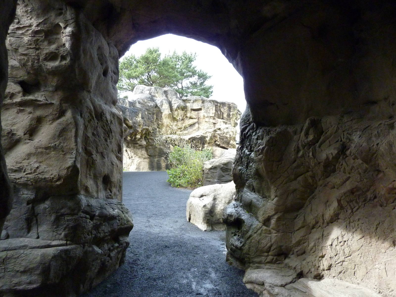 Harbour Seal/California Sea Lion Exhibit - Cave