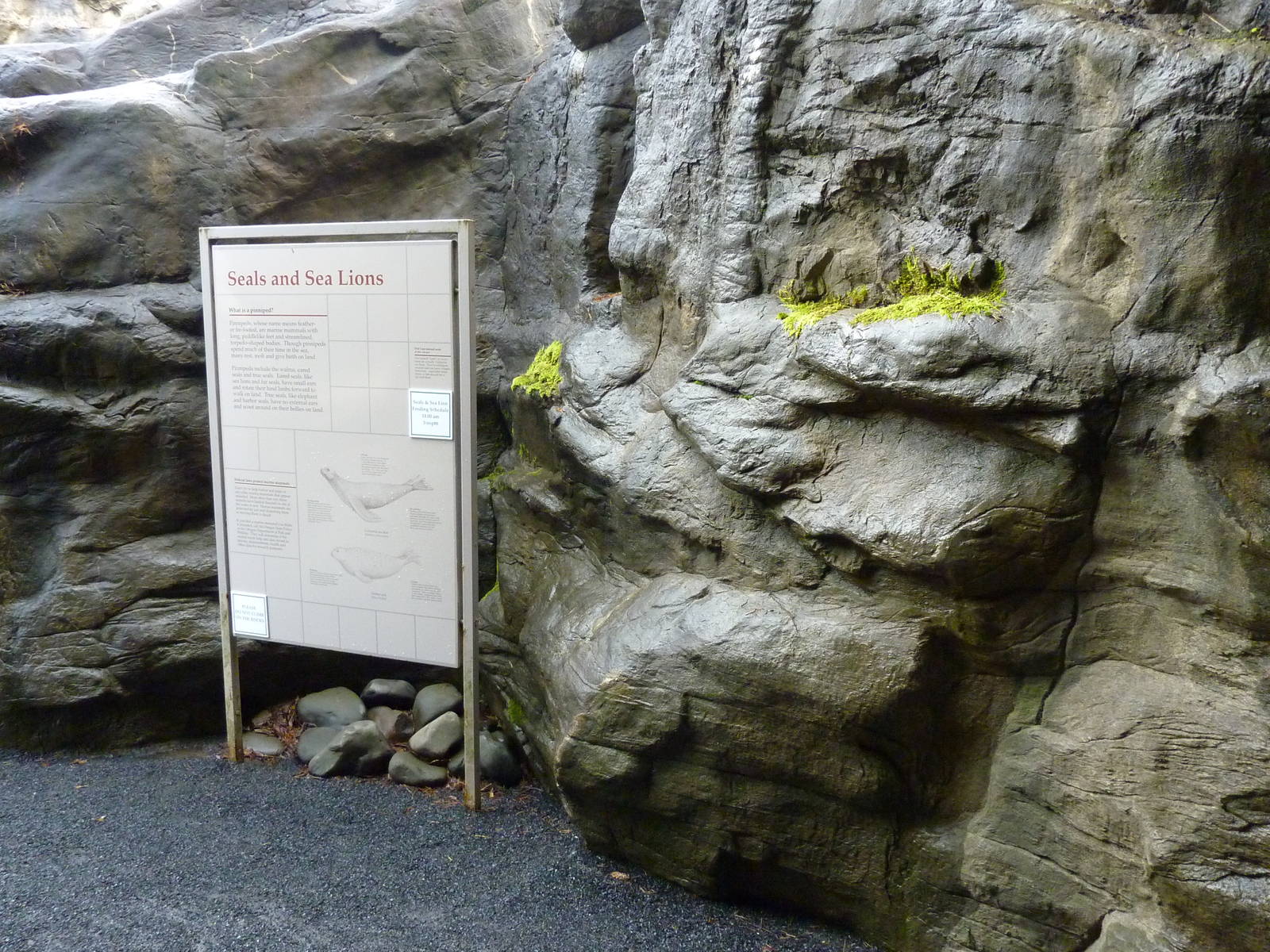 Harbour Seal/California Sea Lion Exhibit - Sign