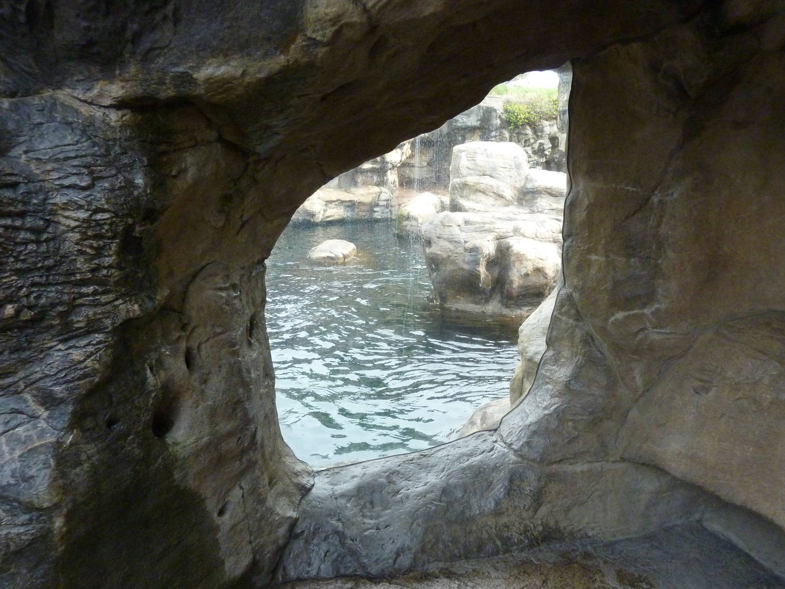 Harbour Seal/California Sea Lion Exhibit