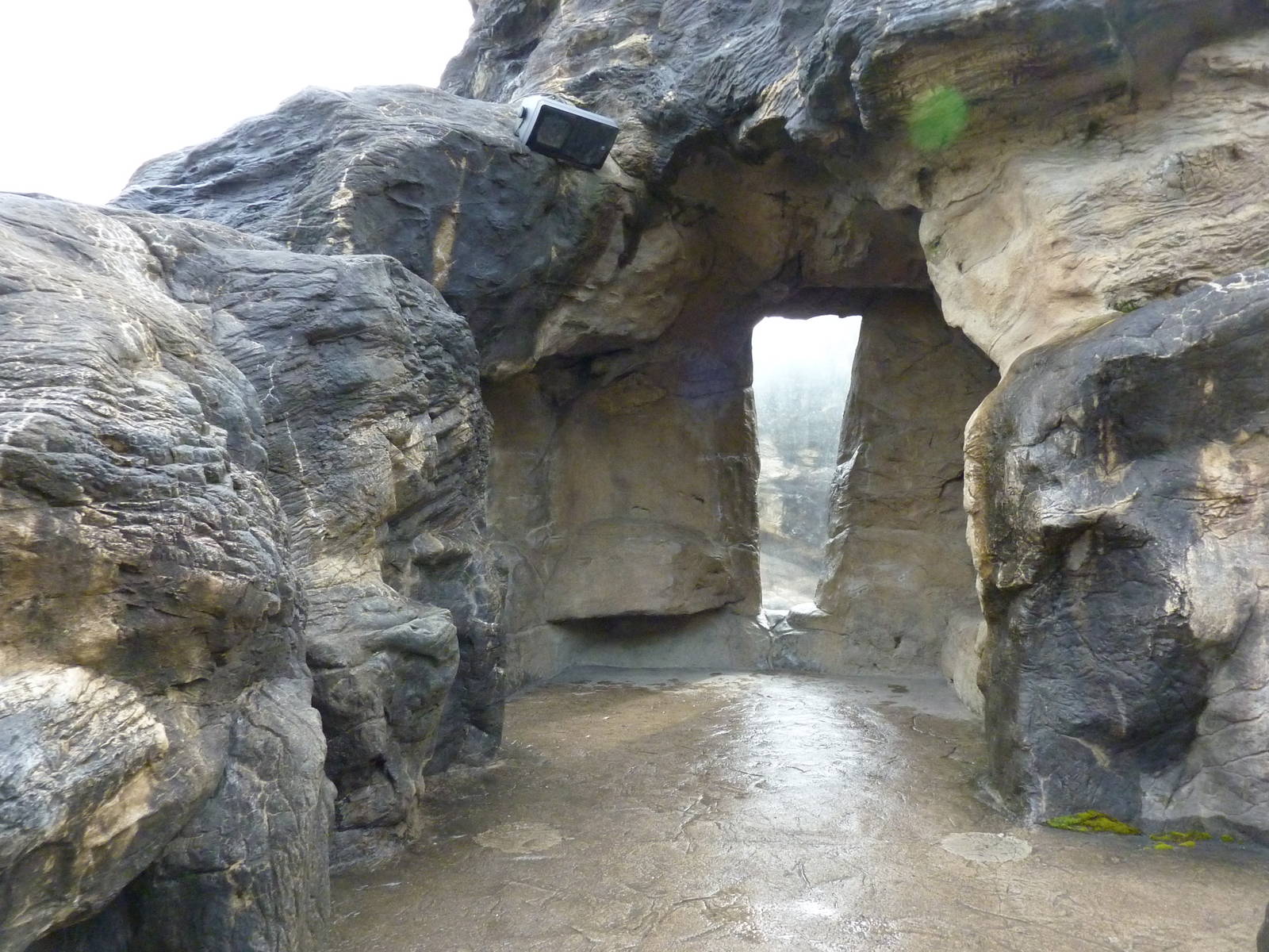 Harbour Seal/California Sea Lion Exhibit
