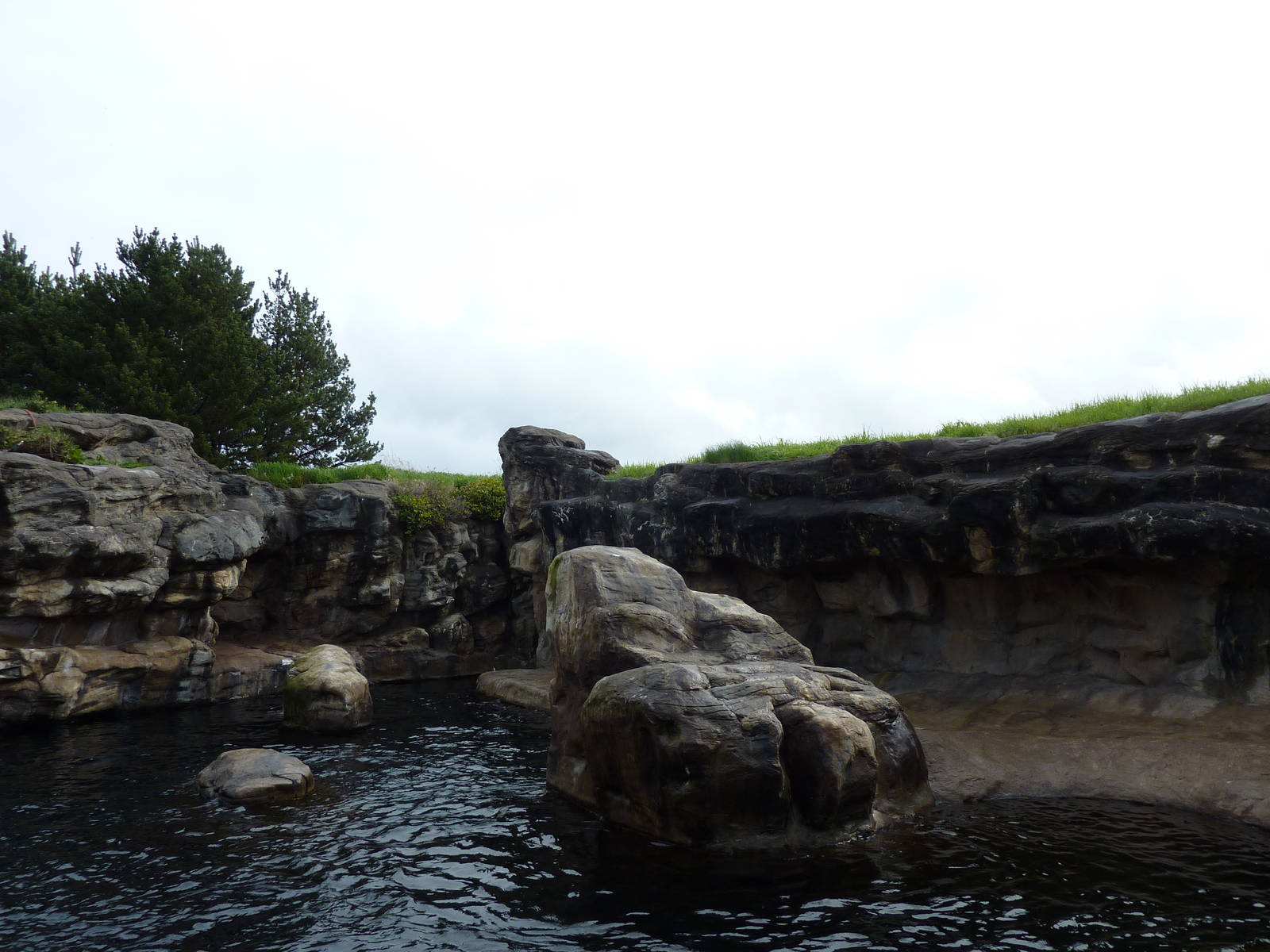 Harbour Seal/California Sea Lion Exhibit