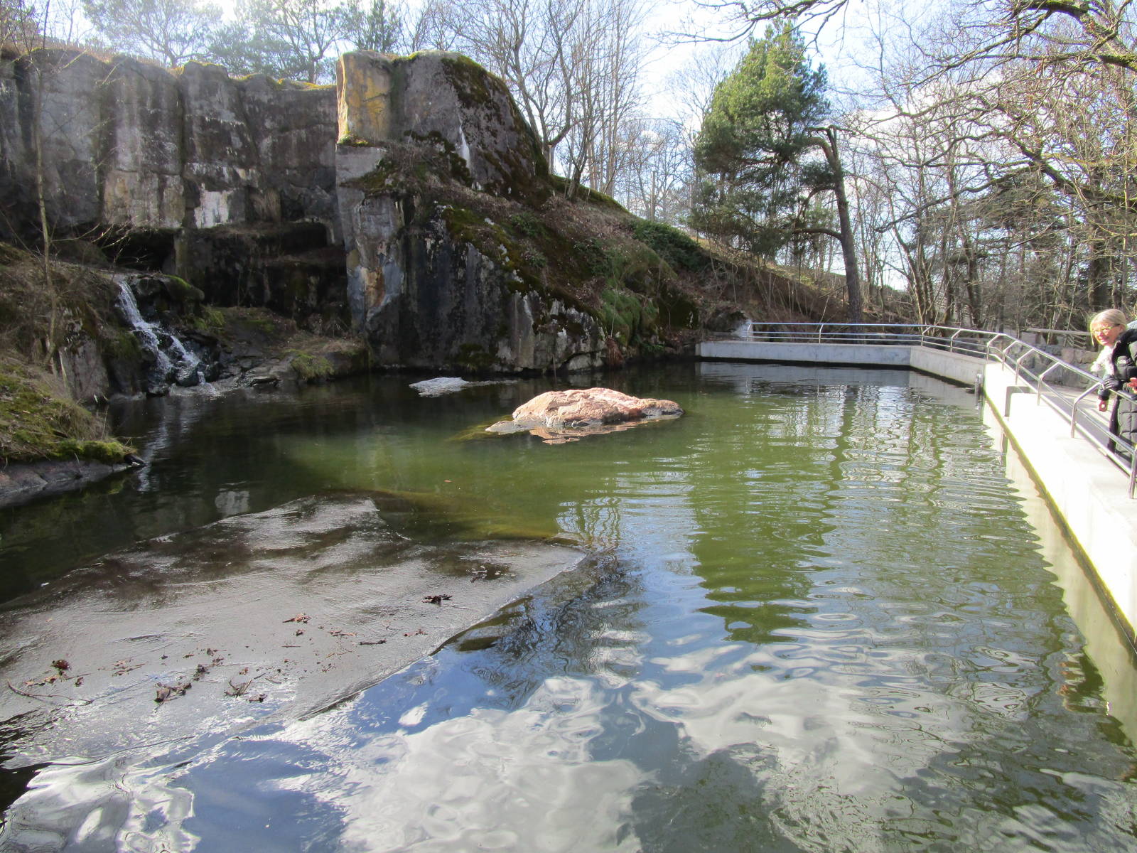 Harbour Seal Enclosure - 24/03/15