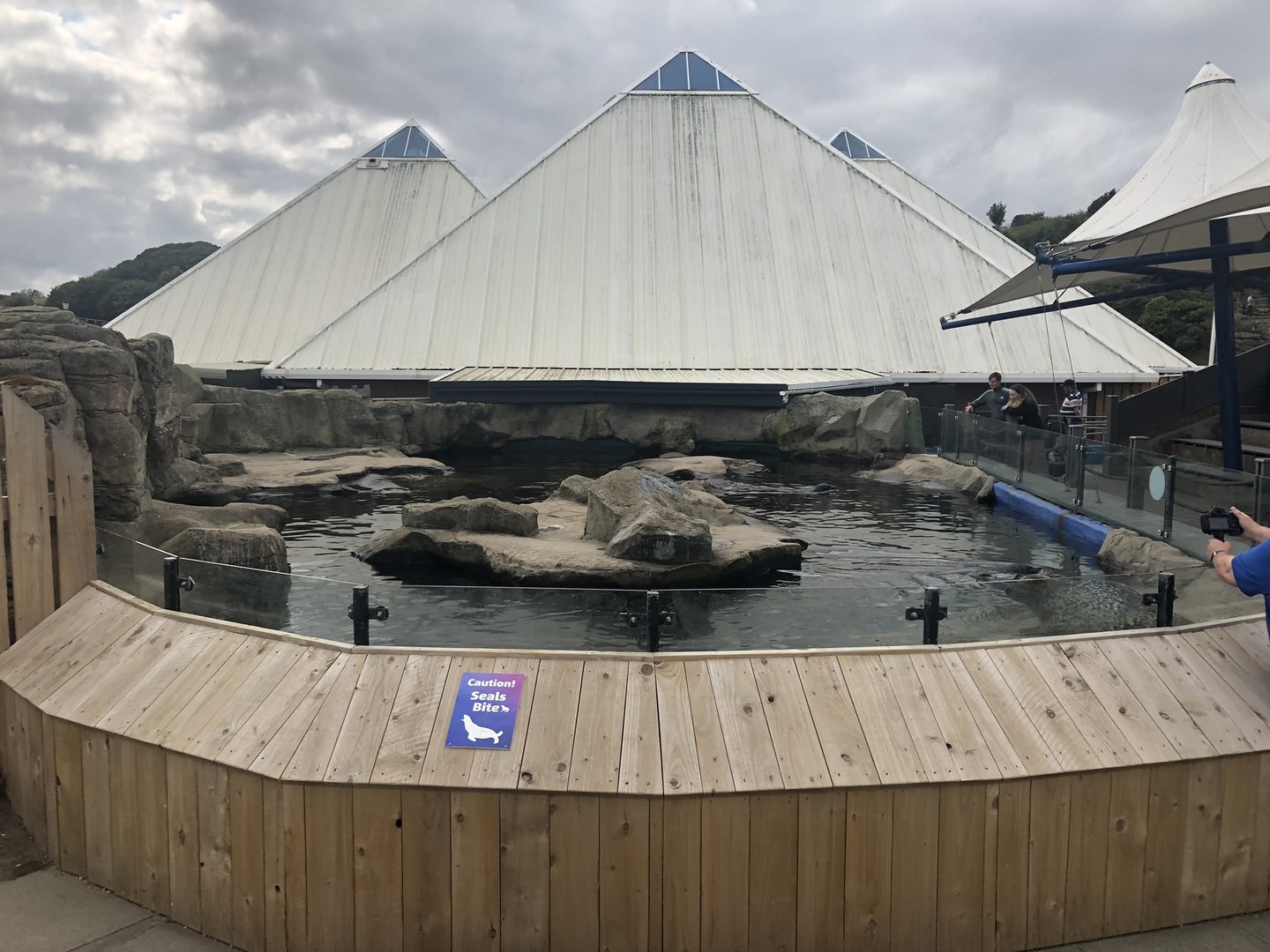 Harbour Seal Enclosure at SEA LIFE Scarborough (September 2022)