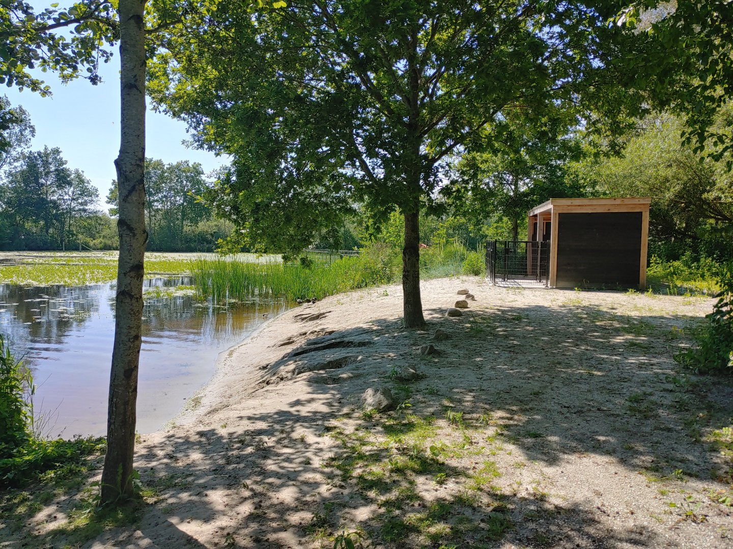 Harbour seal enclosure - beach