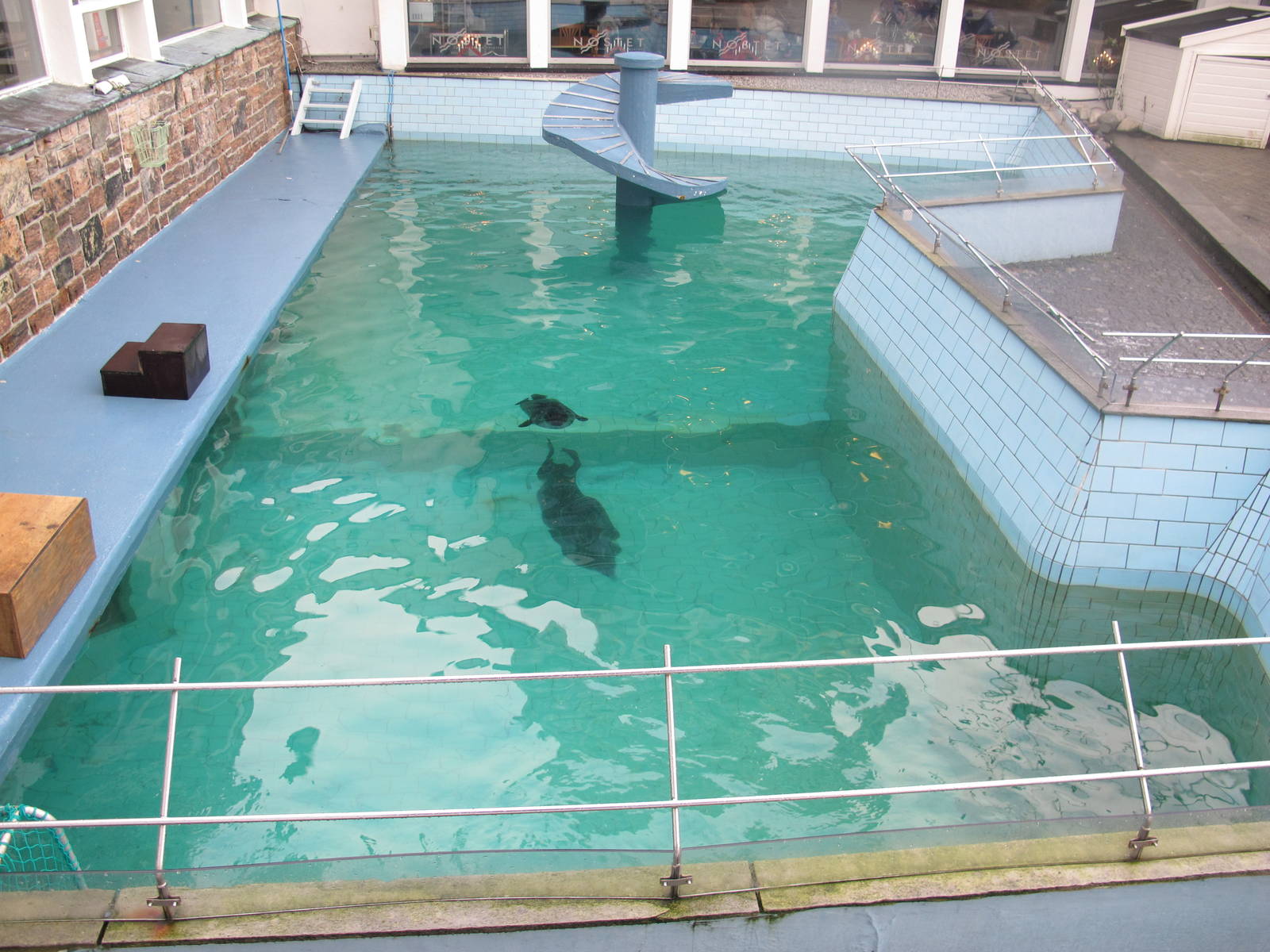 Harbour Seal Enclosure - Bergen Akvariet 2012