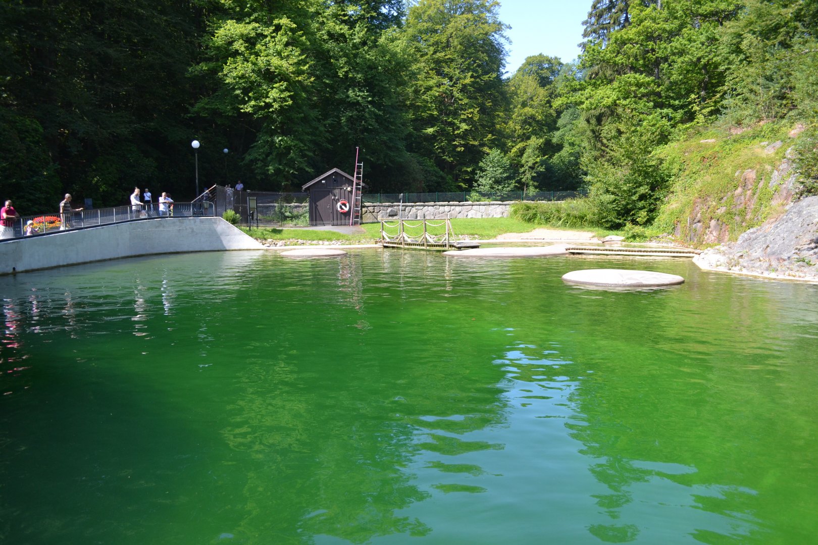 Harbour seal enclosure in Slottsskogen