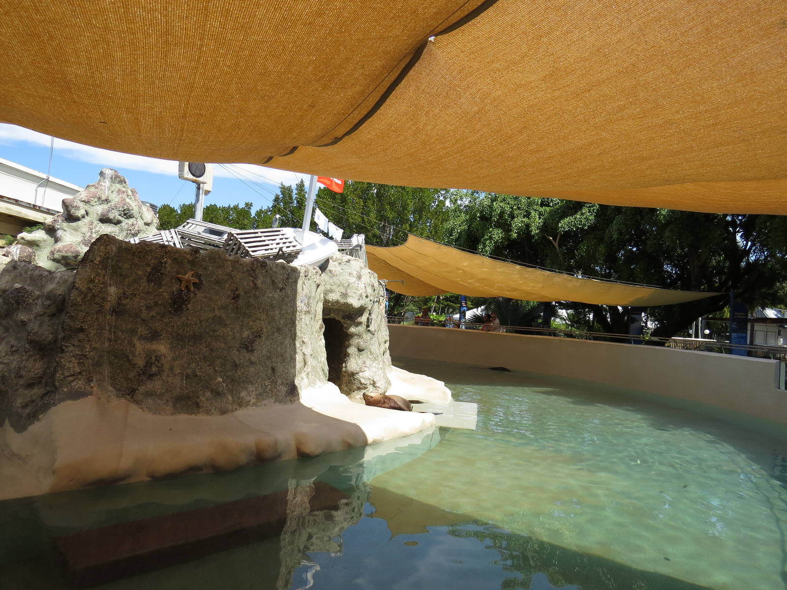 Harbour seal enclosure, March 2015
