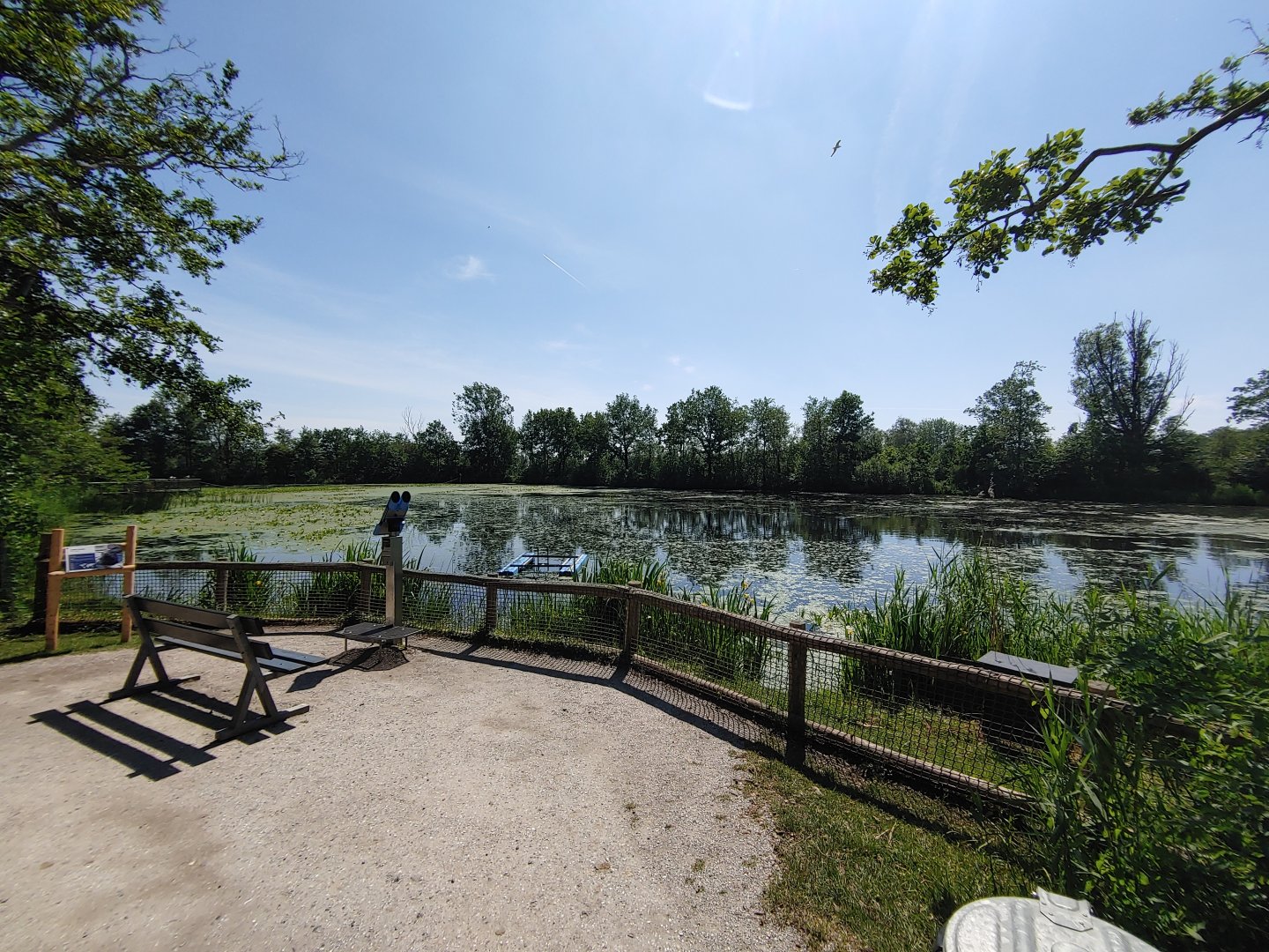 Harbour seal enclosure - viewing point near the eagle-owl aviary