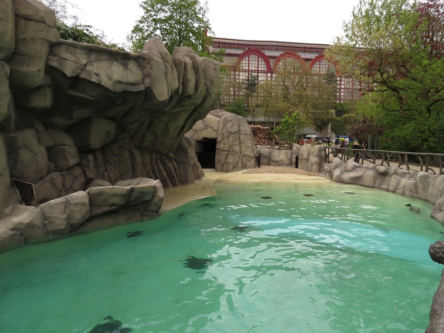 Harbour Seal Enclosure