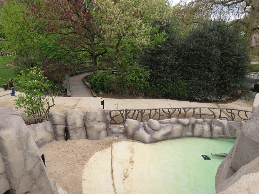 Harbour Seal Enclosure