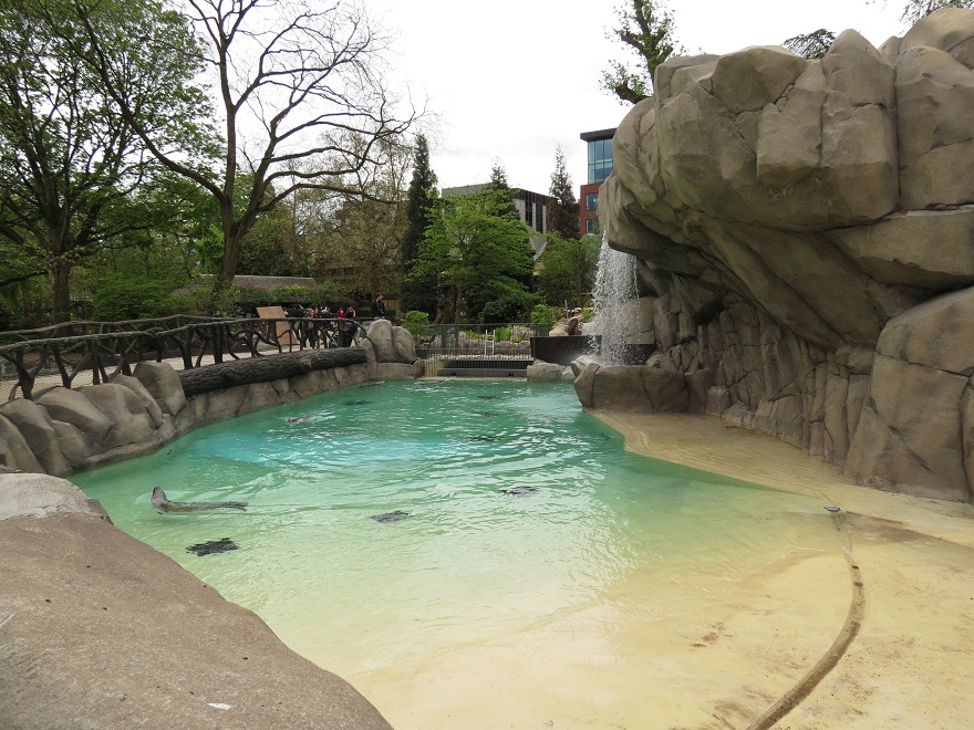Harbour Seal Enclosure