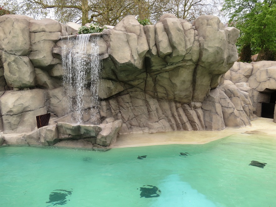 Harbour Seal Enclosure