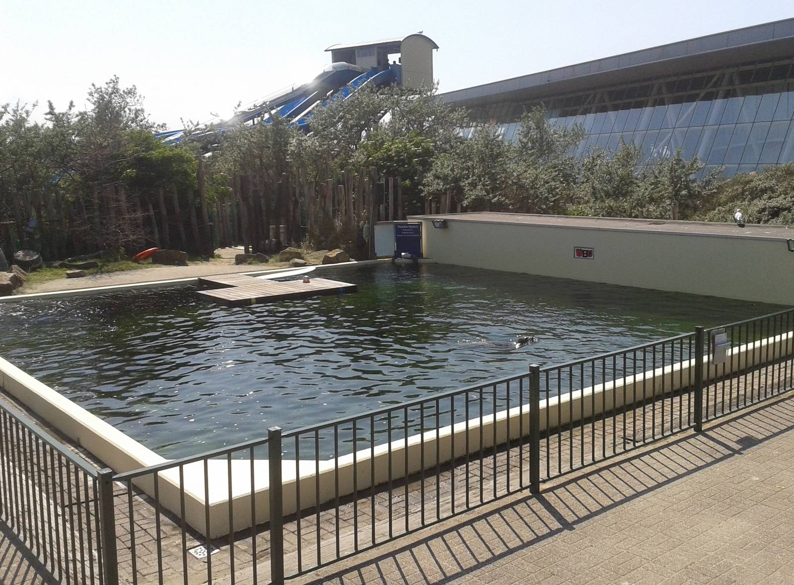 Harbour seal enclosure