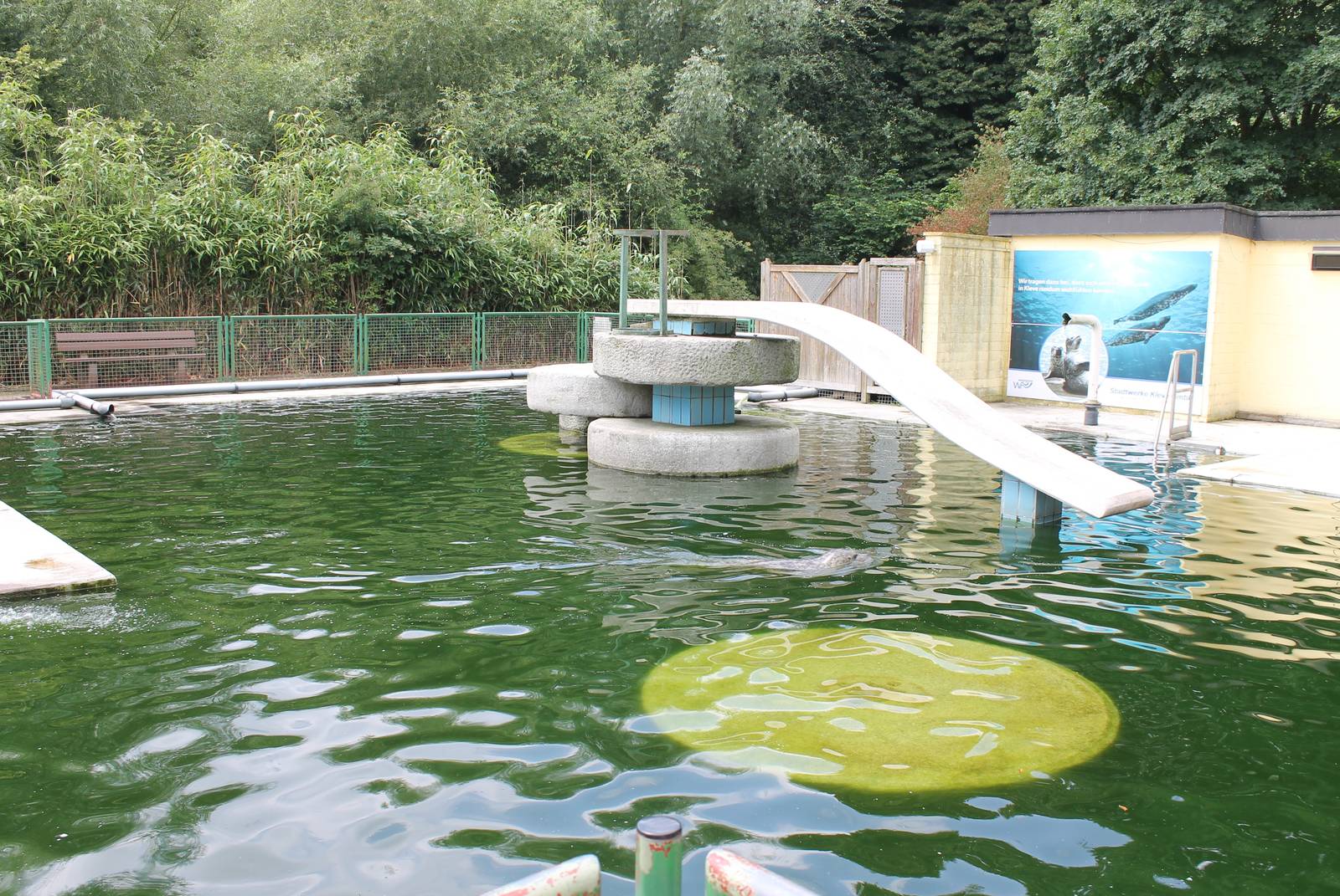 Harbour seal enclosure