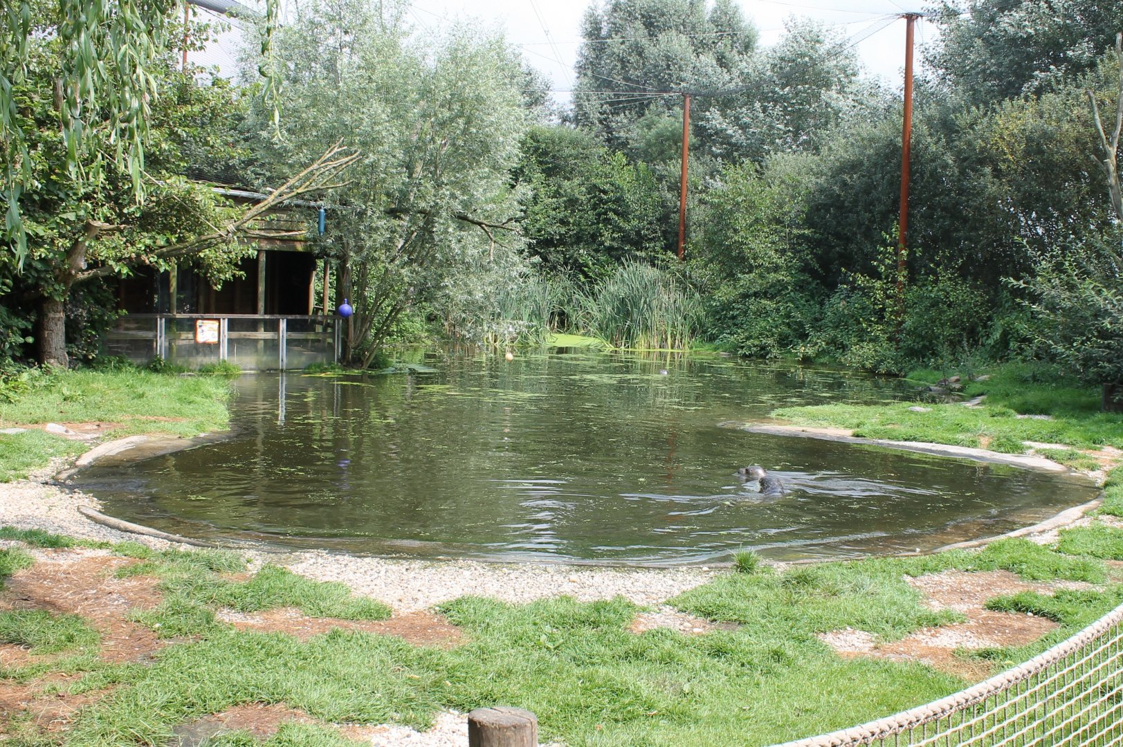 Harbour seal enclosure