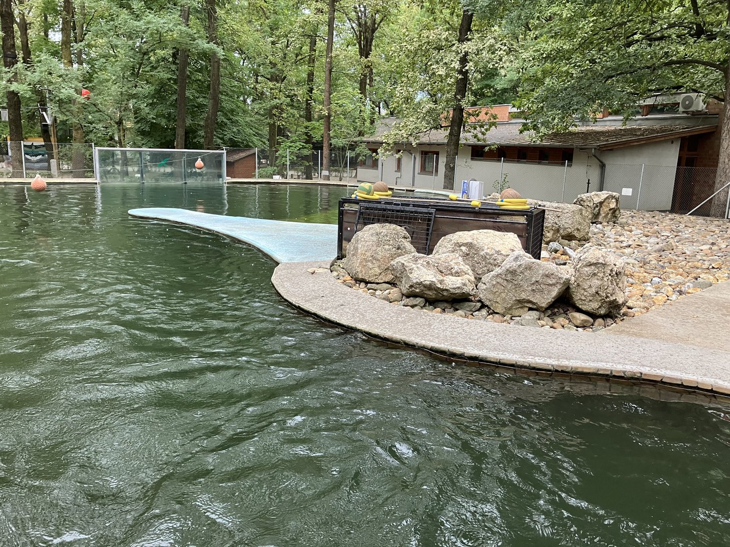 Harbour seal enclosure