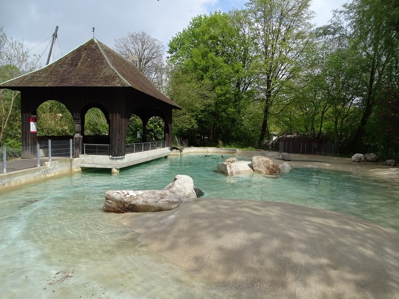 Harbour seal enclosure