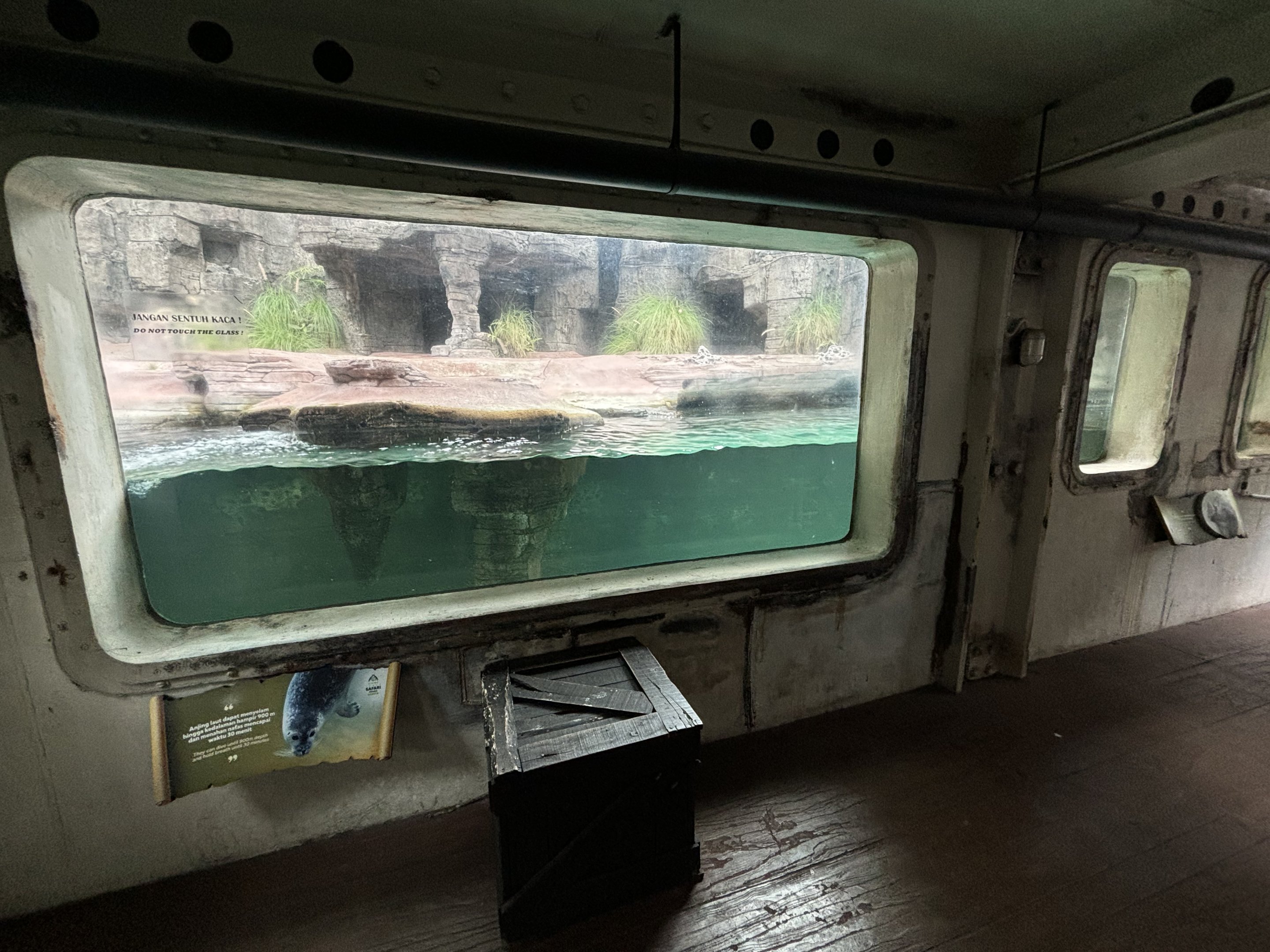 Harbour Seal Exhibit - Aquatic Land