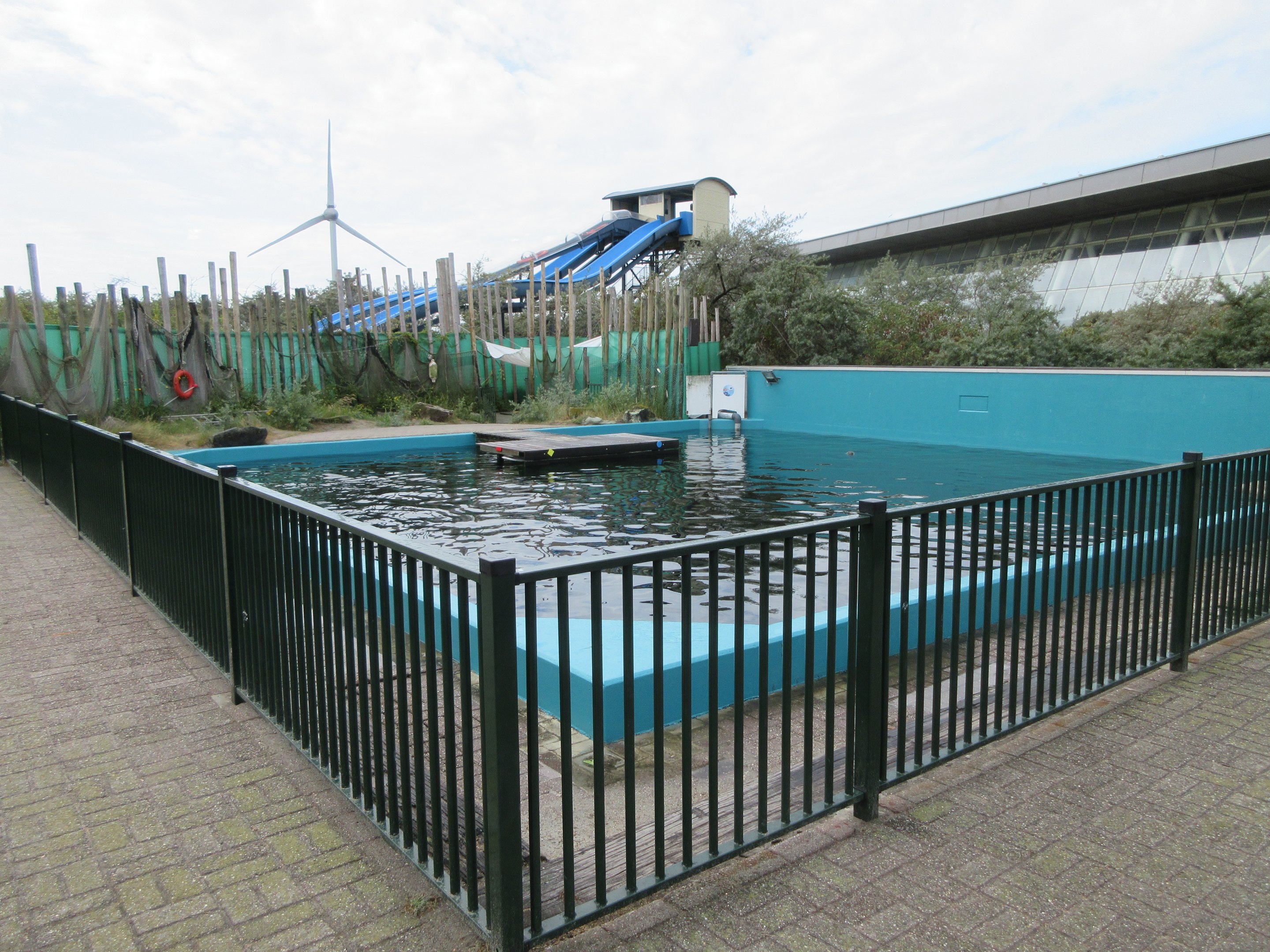 Harbour Seal Exhibit - low fence barrier