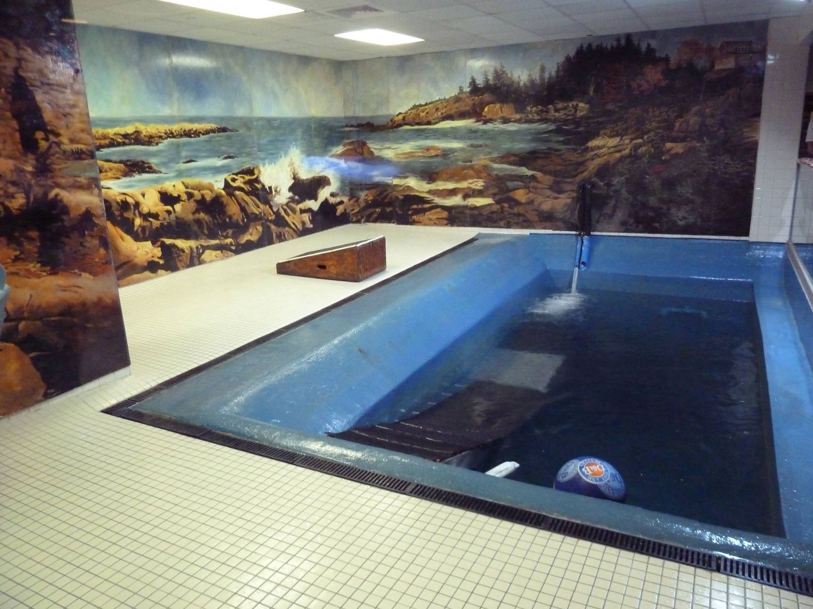 Harbour Seal Exhibit - Upper Viewing Area