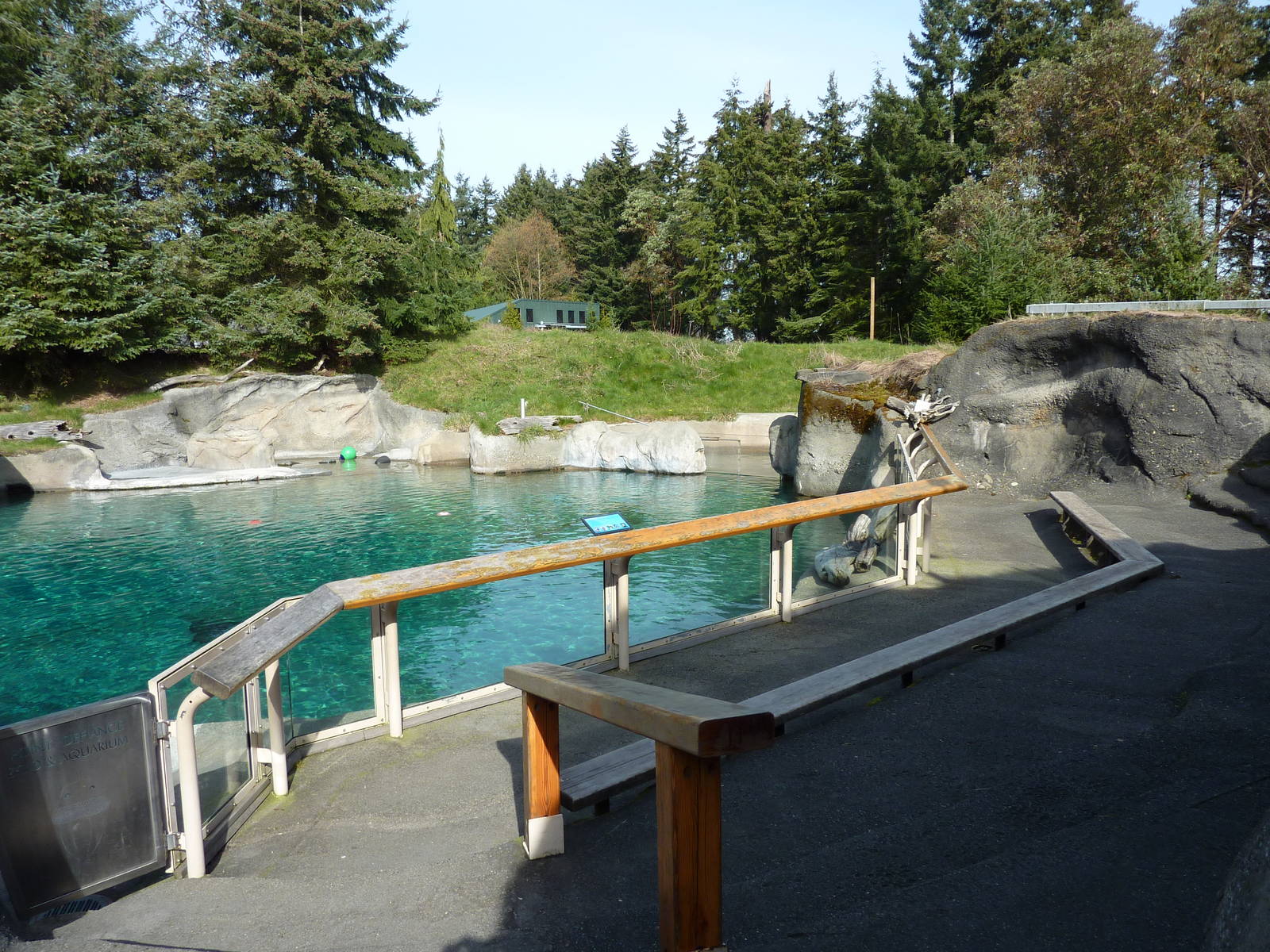 Harbour Seal Exhibit - Viewing Area