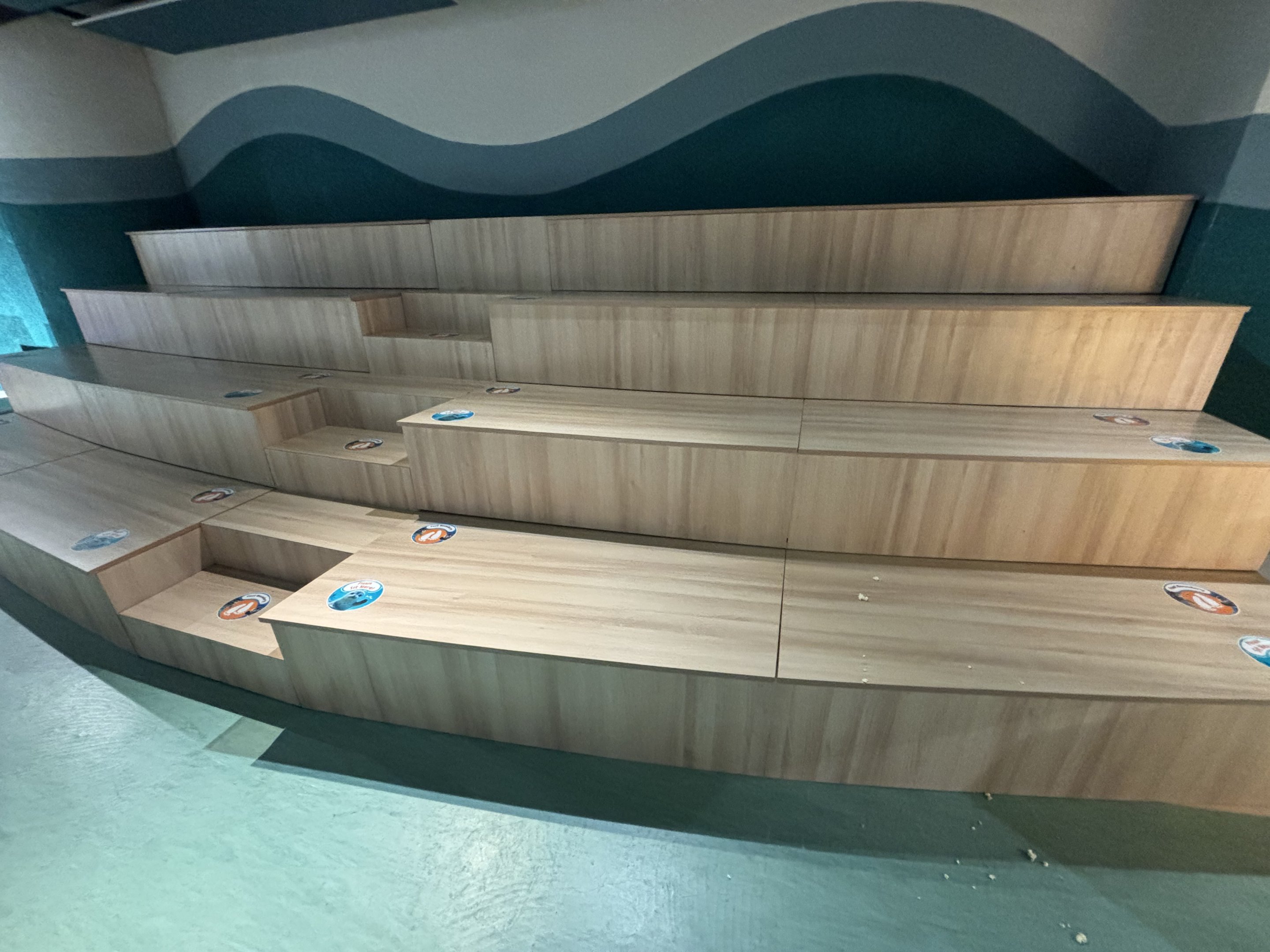 Harbour Seal Exhibit - visitor seating