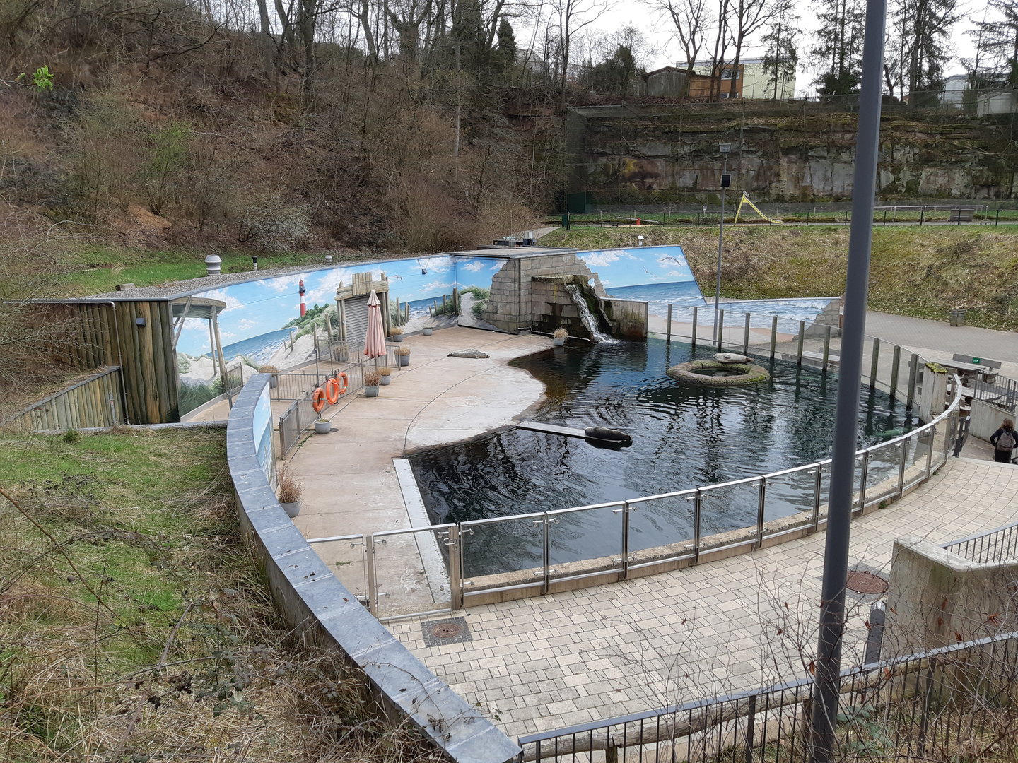 Harbour seal exhibit - Zoo Saarbrücken