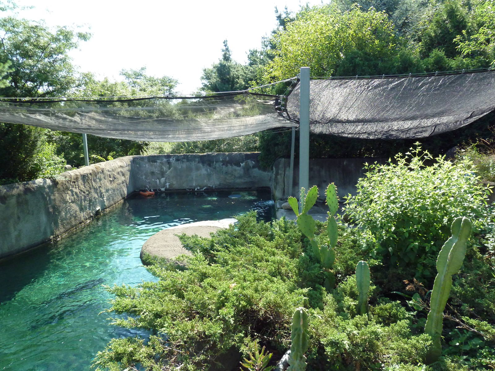 Harbour Seal Exhibit
