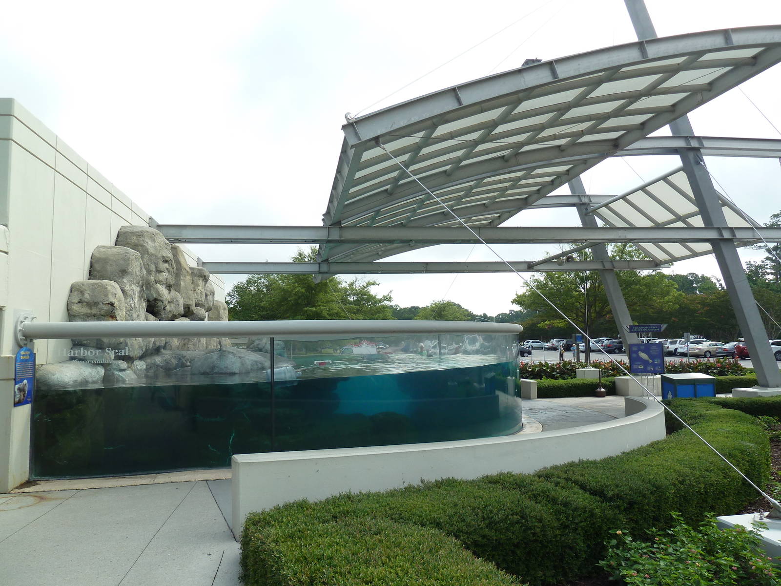Harbour Seal Exhibit
