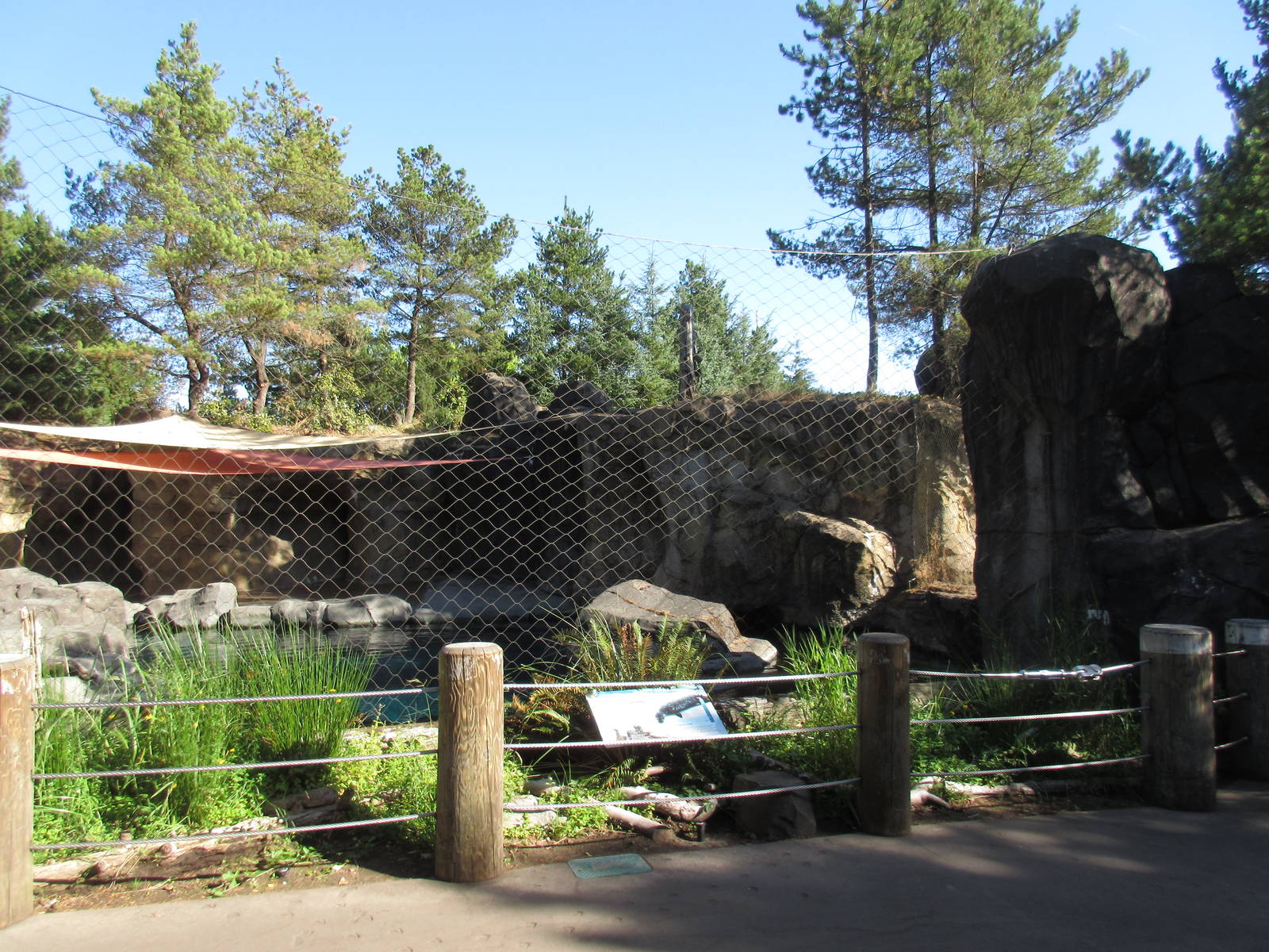 Harbour Seal Exhibit