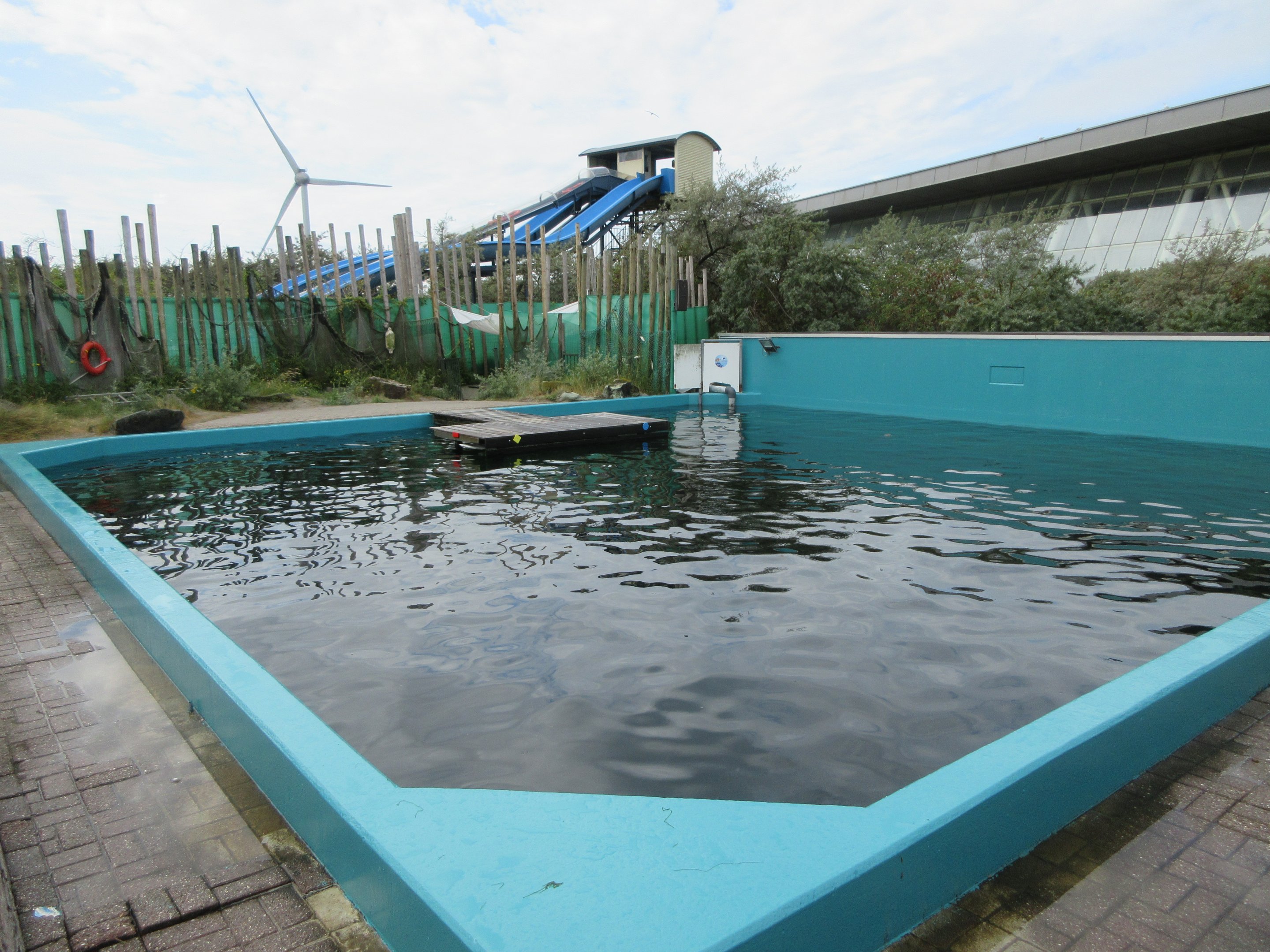 Harbour Seal Exhibit