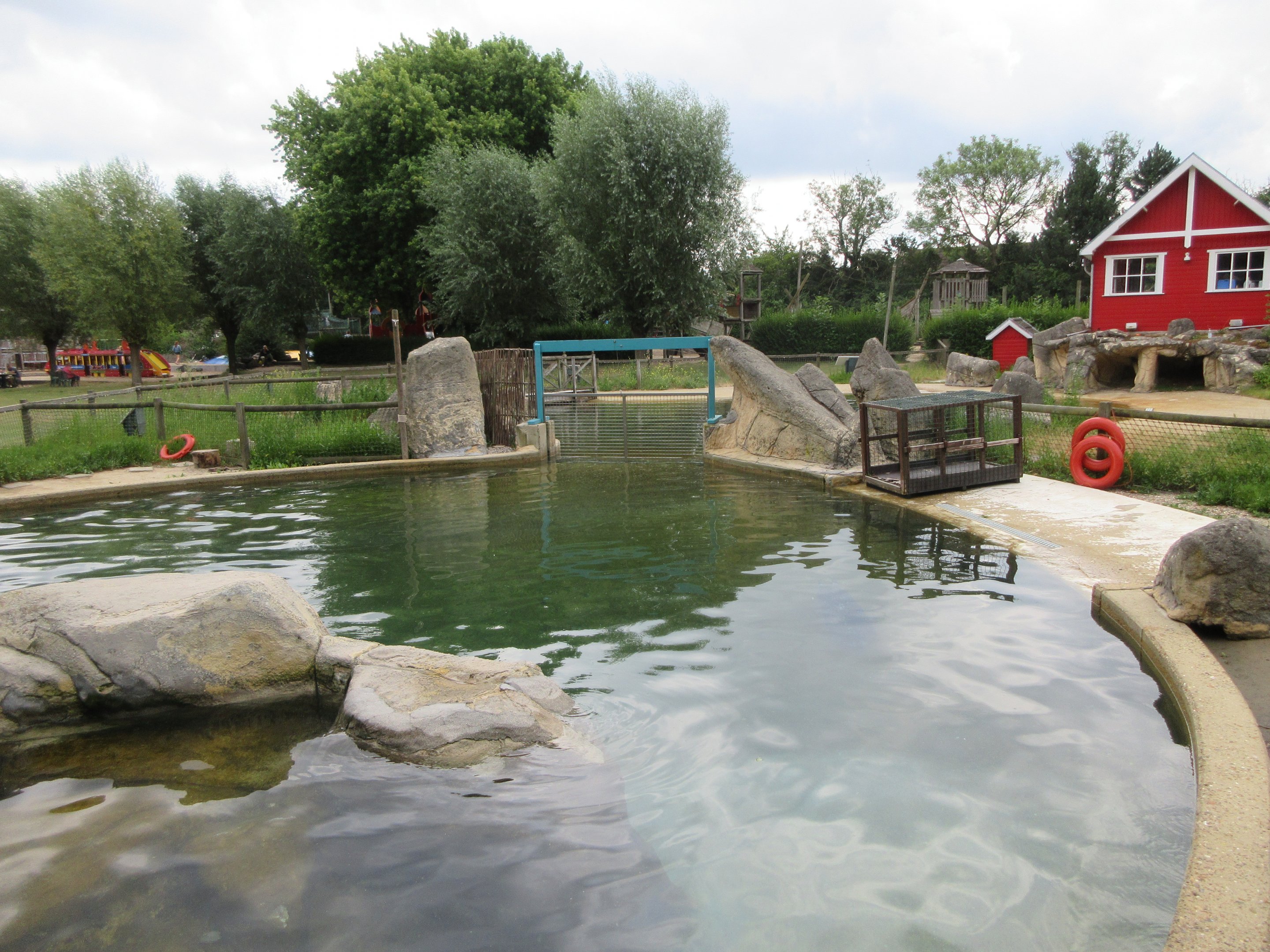 Harbour Seal Exhibit
