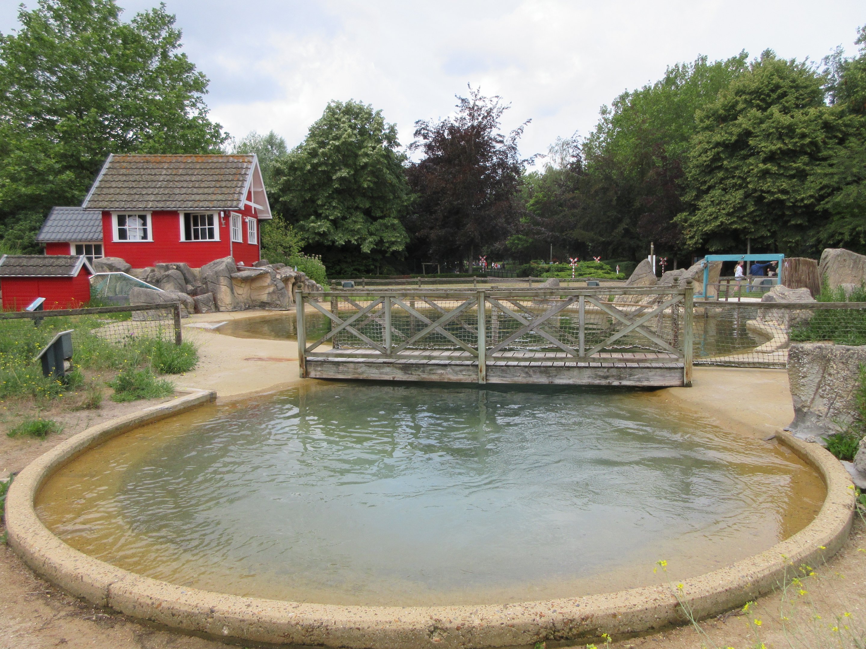 Harbour Seal Exhibit