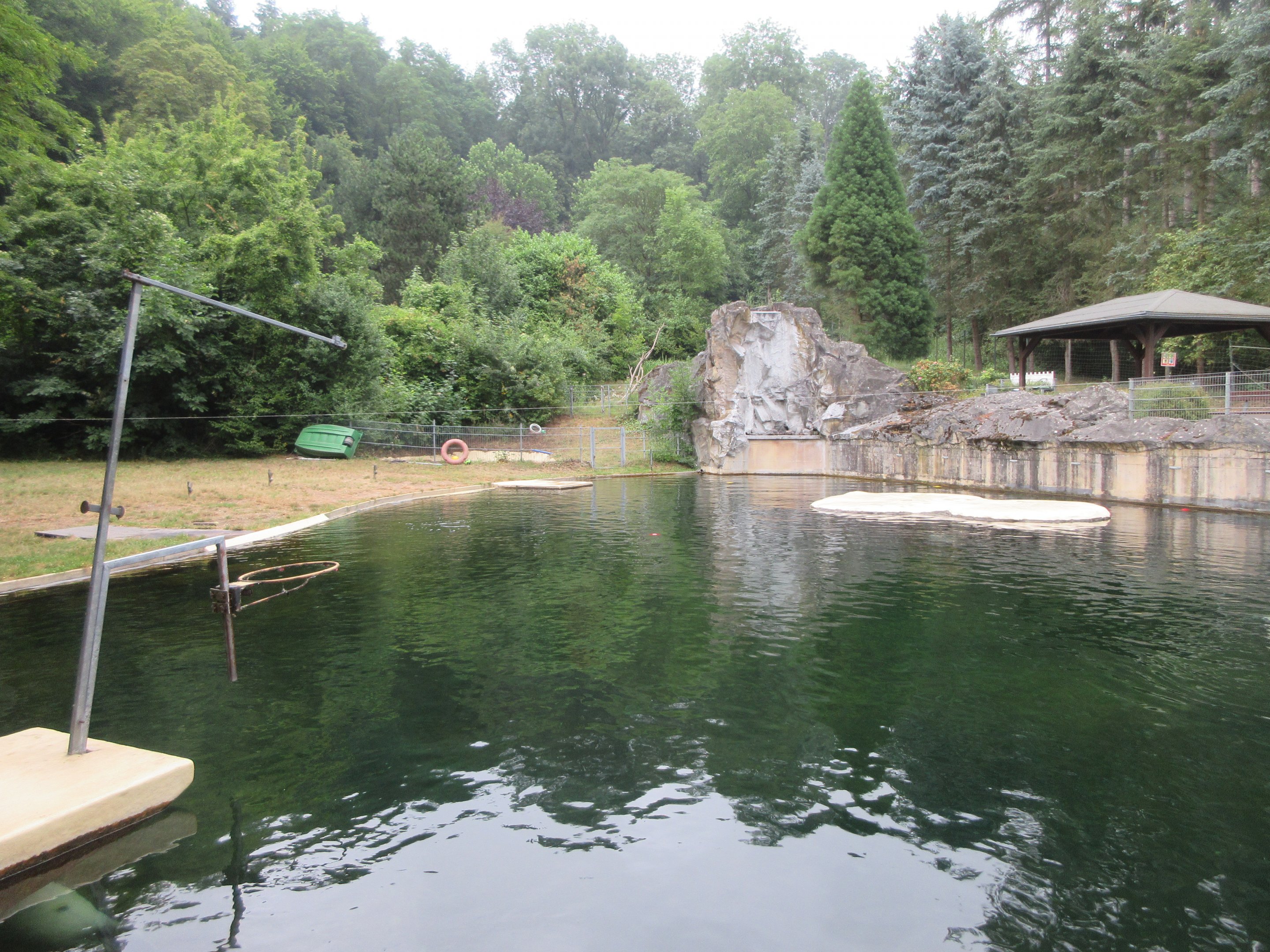 Harbour Seal Exhibit